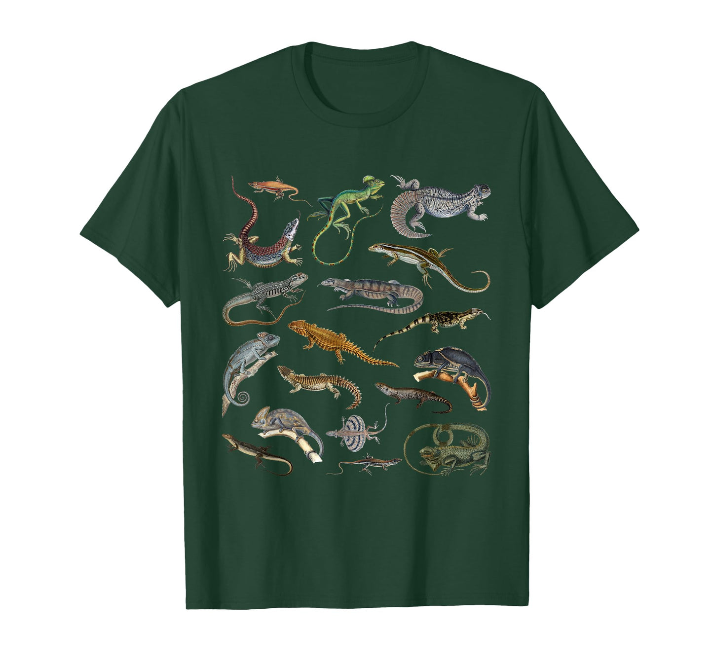 Lizards Collage Reptile Types Of Lizards Cool Lizards Lover T-Shirt