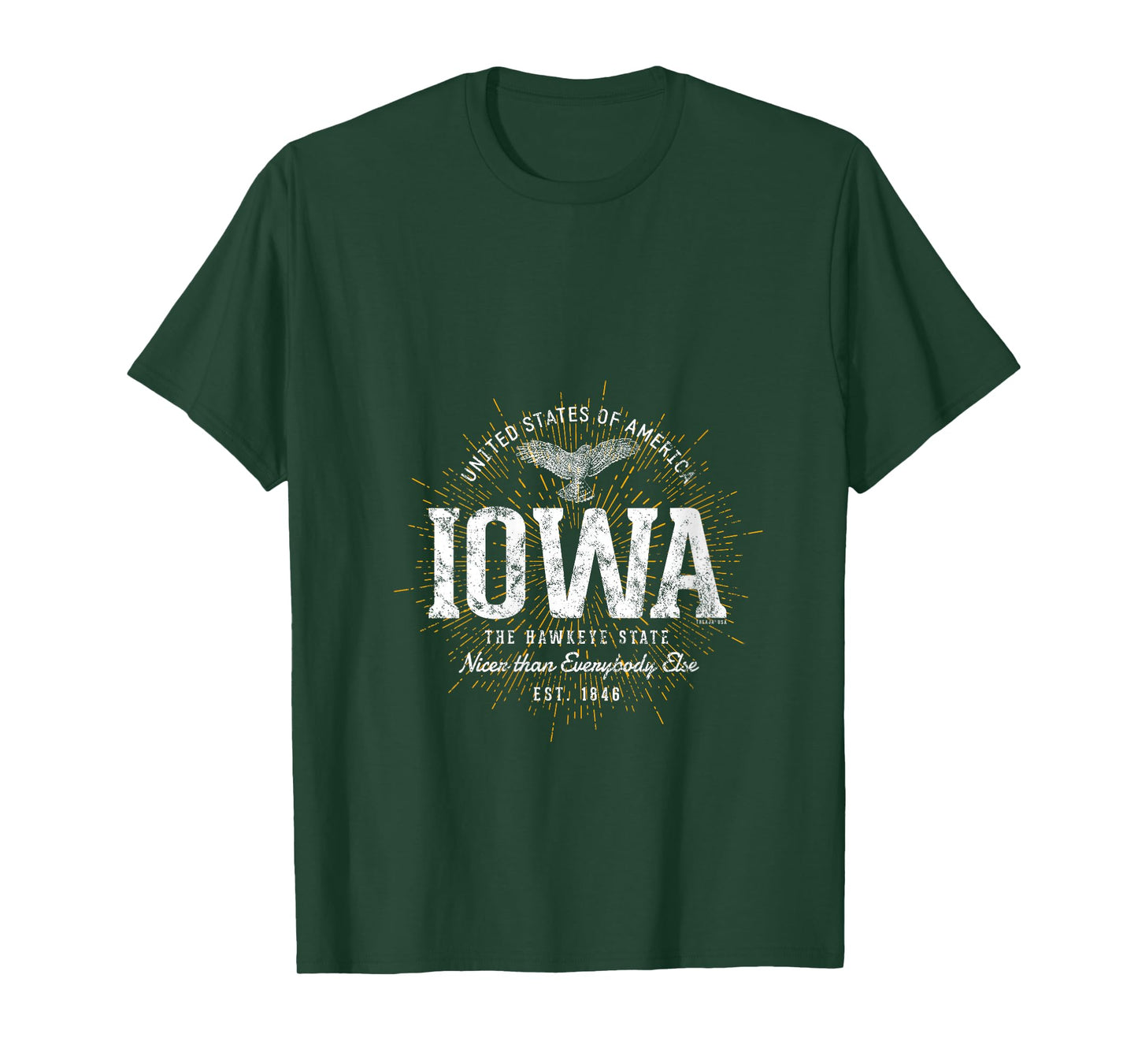 Womens Vintage State of Iowa Retro V-Neck T-Shirt