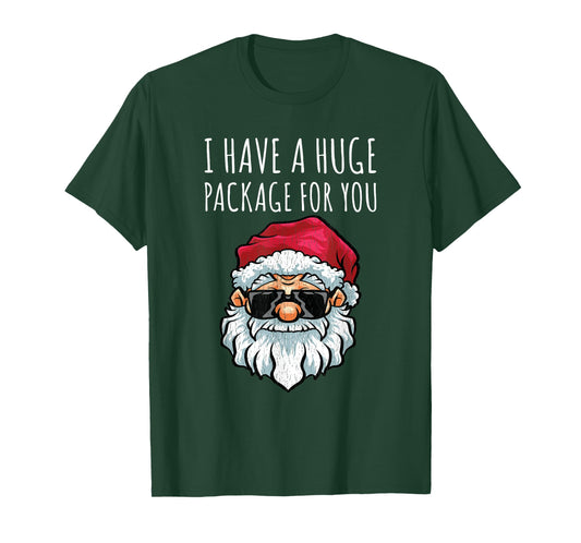 Dirty Christmas Shirt Naughty Raunchy Shirt For Men Package T-Shirt