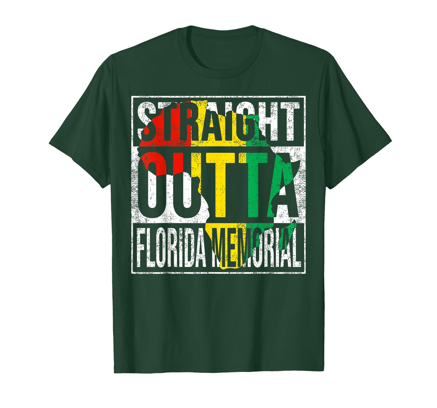Florida Vintage Retro Memorial 142 years T-Shirt