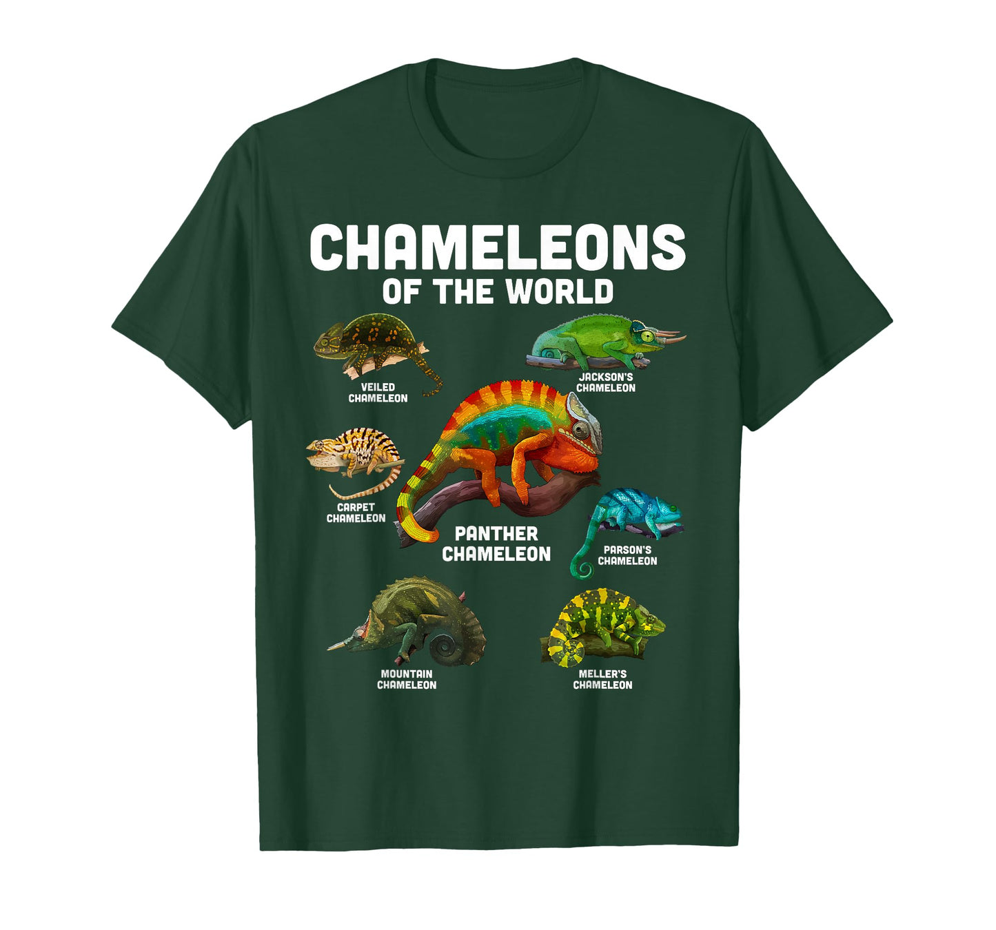 Chameleon Shirt Chameleons of the World Educational Reptile T-Shirt