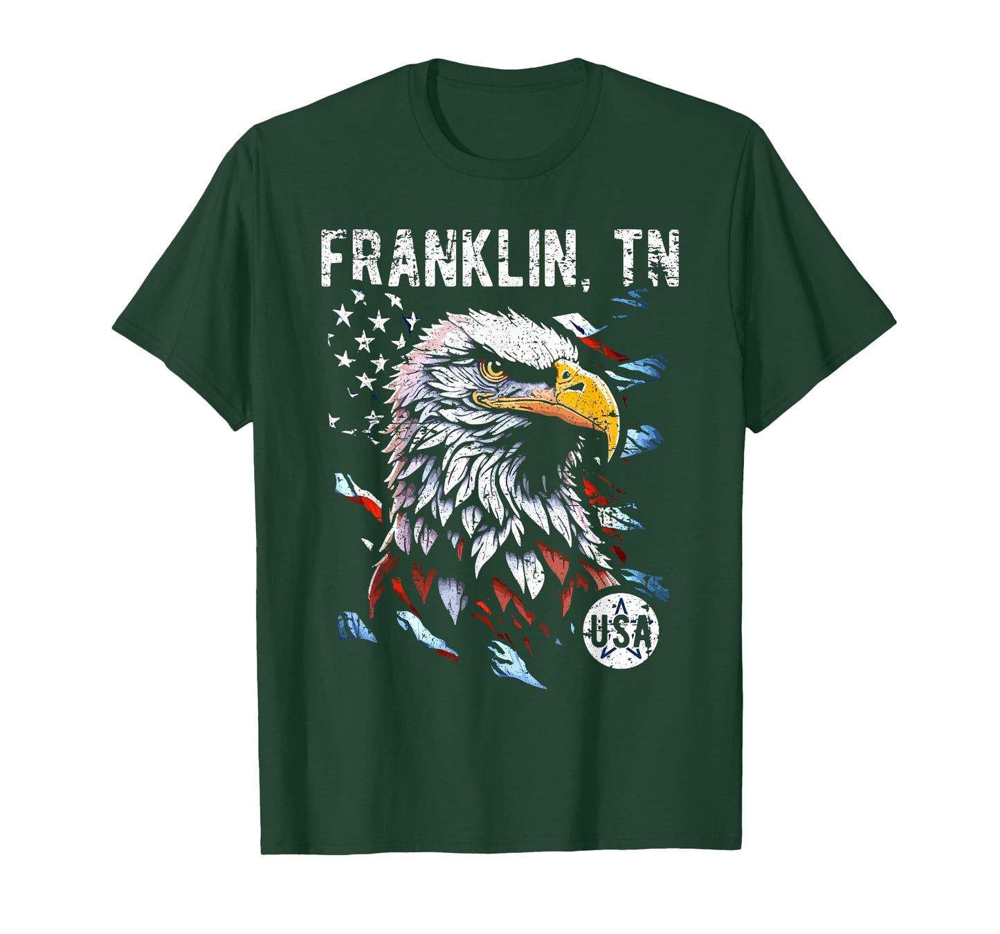 Franklin TN Patriotic Eagle USA Flag Vintage Style Design T-Shirt