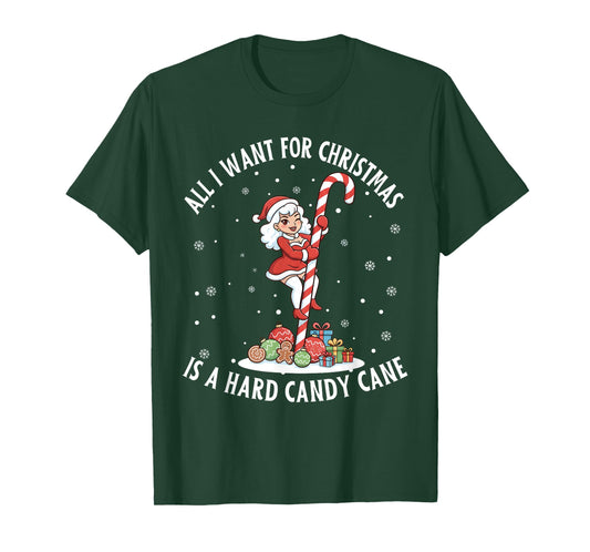 All I Want Christmas Adult Humor Inappropriate Christmas PJ T-Shirt