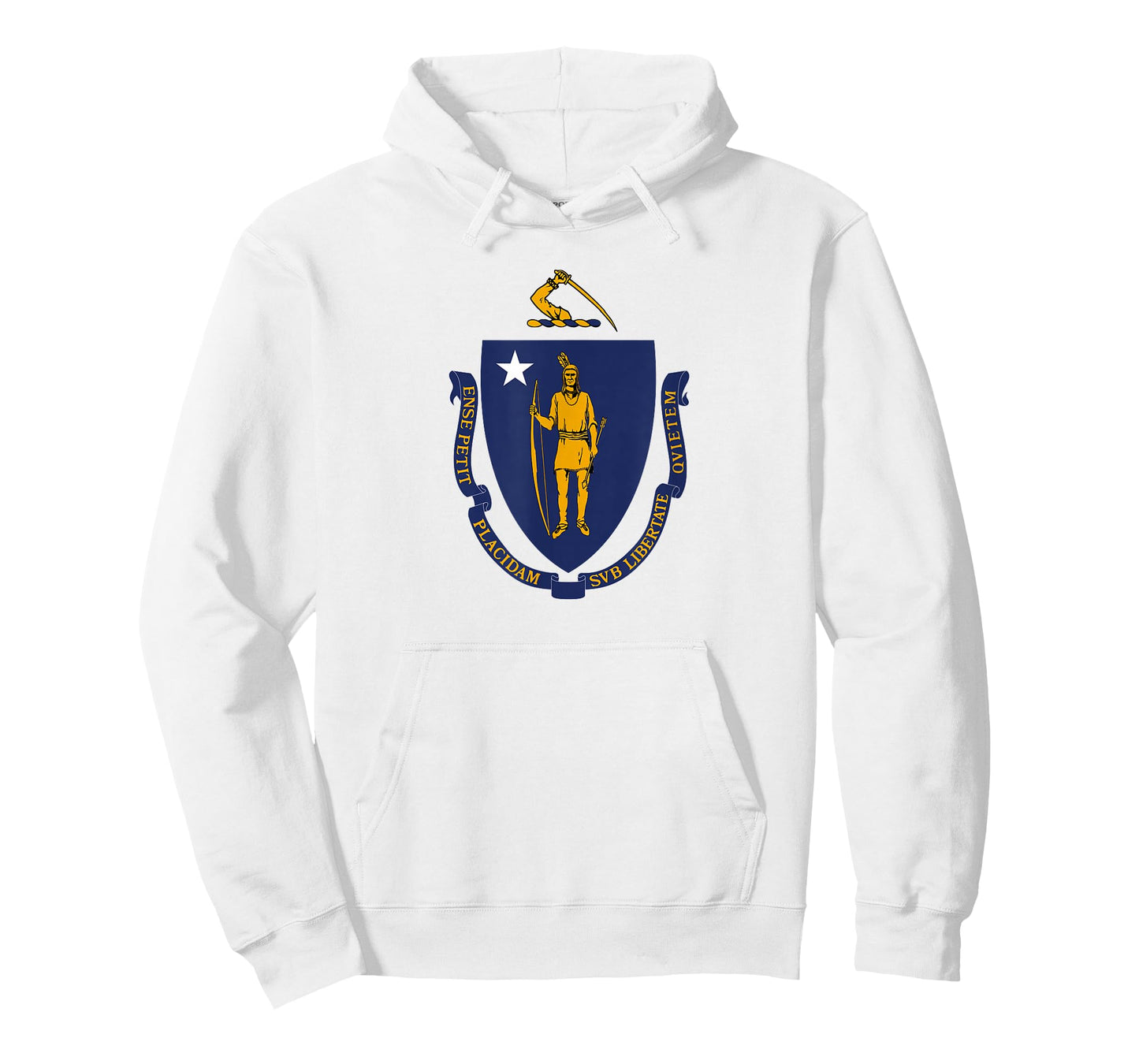 Flag of Massachusetts T-Shirt