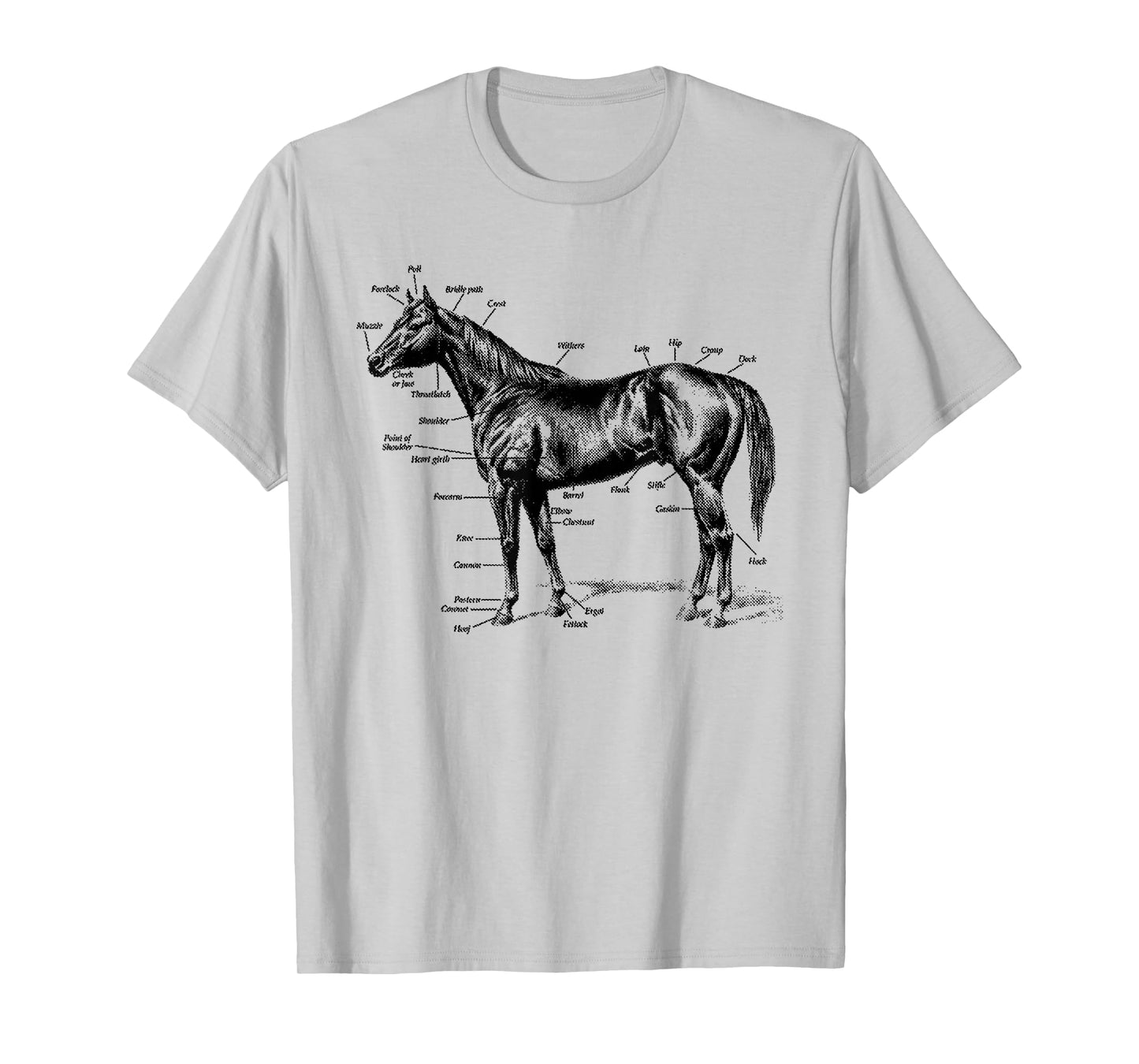 Big Texas Anatomy of a Horse T-Shirt T-Shirt