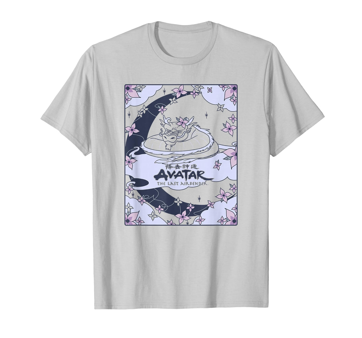 Avatar: The Last Airbender Roku Dragon Card T-Shirt Small