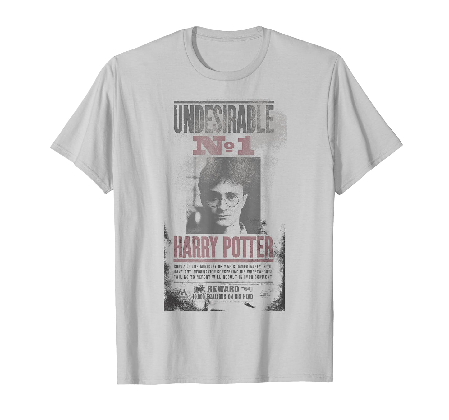 Harry Potter Undesirable No 1 Distressed T-Shirt