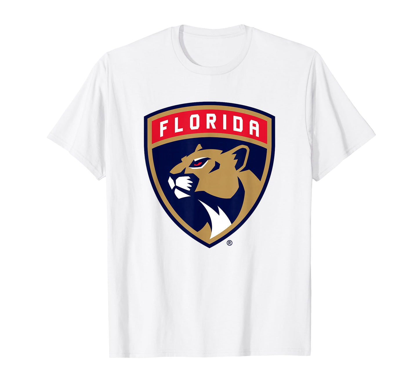 Florida Panthers Icon Heather Gray Officially Licensed T-Shirt