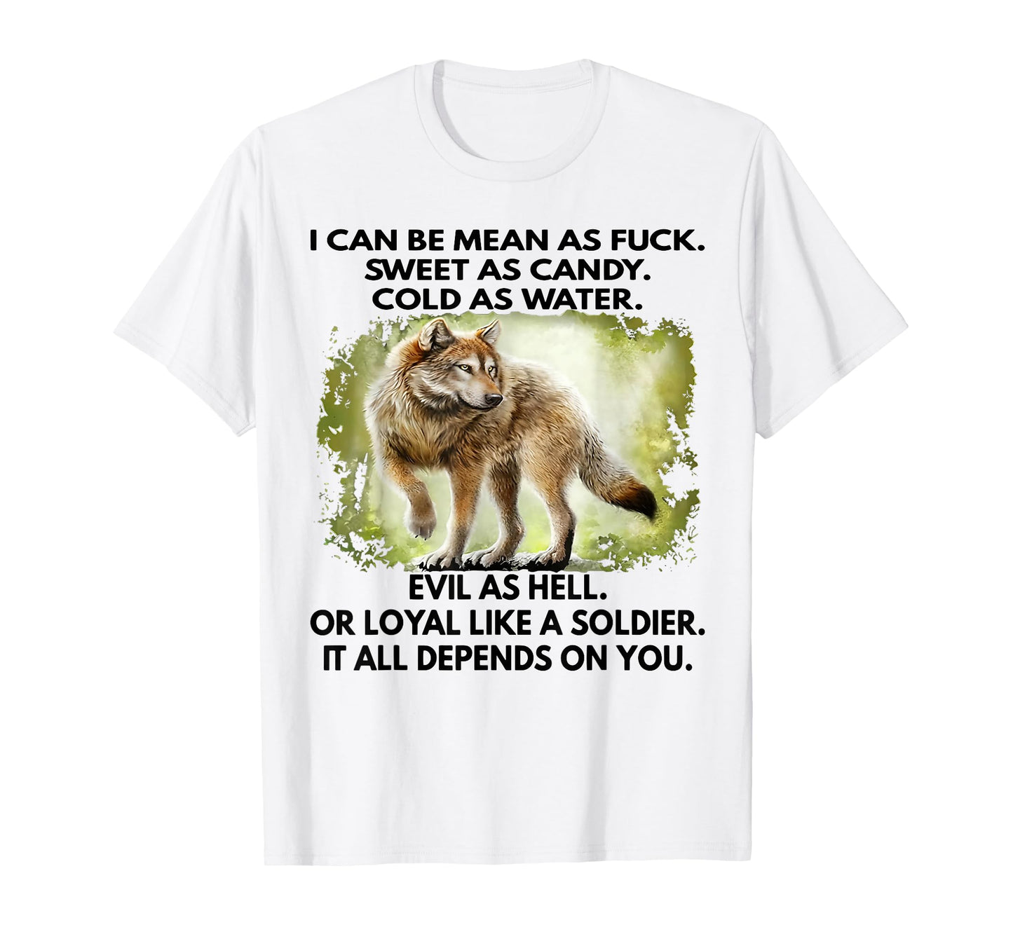 I Can Be Mean As Fuck Sweet As Candy Cold As Water Evil T-Shirt