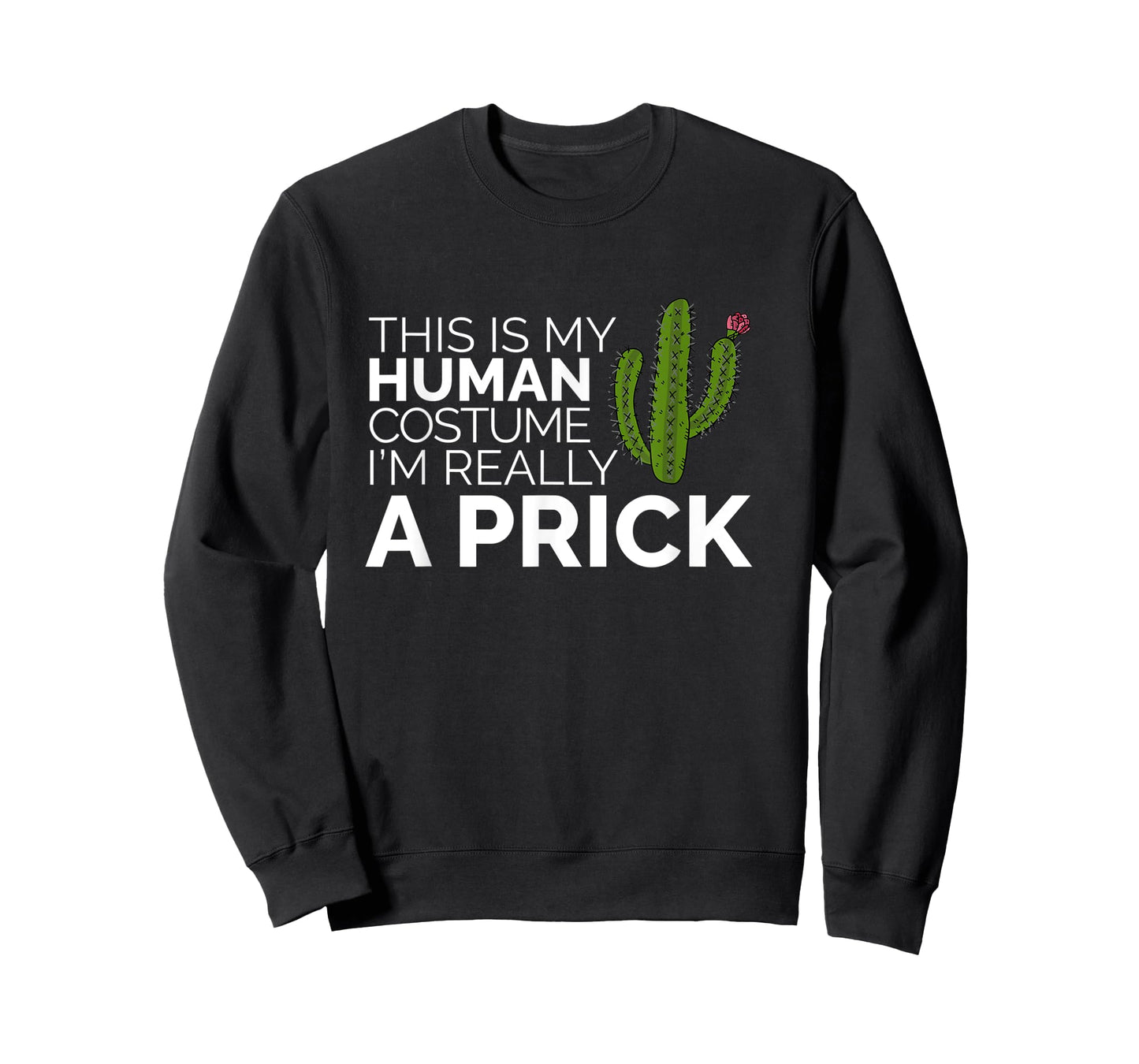 Funny This Is My Human Costume I'm Really A Prick Cactus T-Shirt