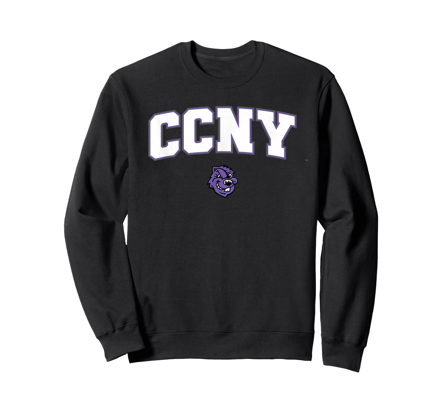 City College of New York CCNY Beavers Arch Logo T-Shirt