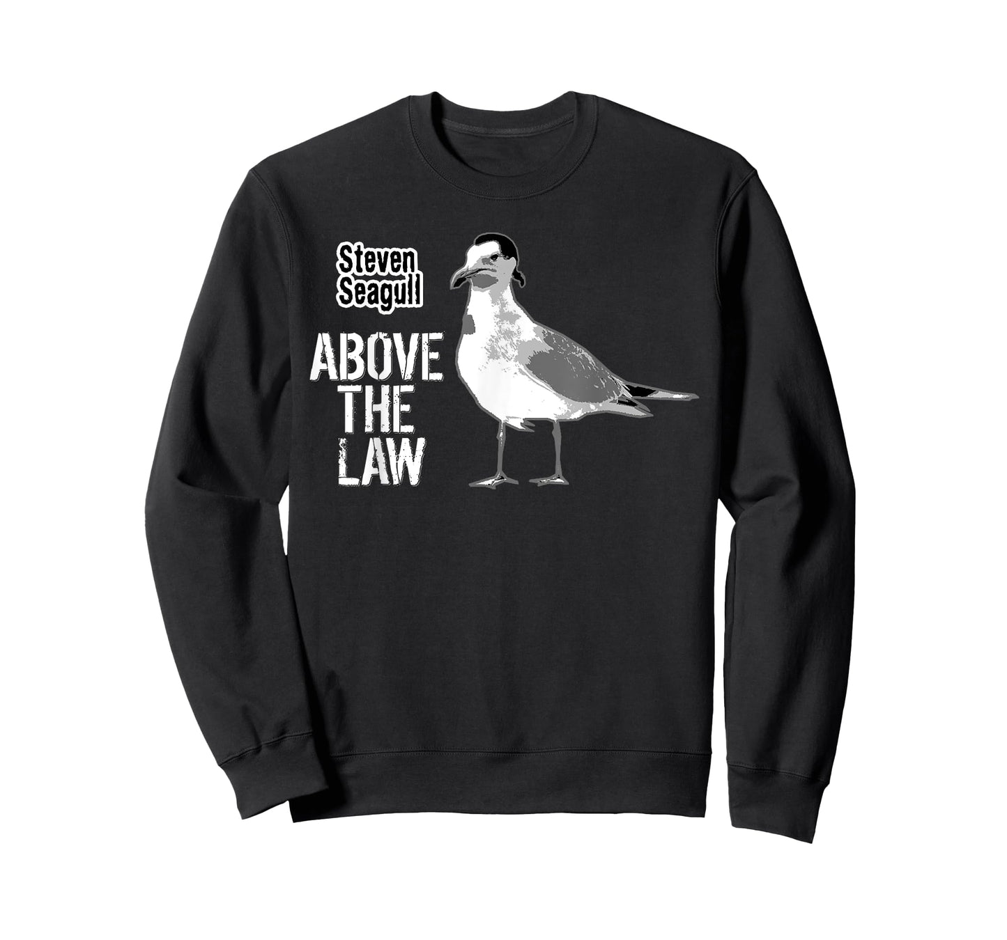 Steven Seagull