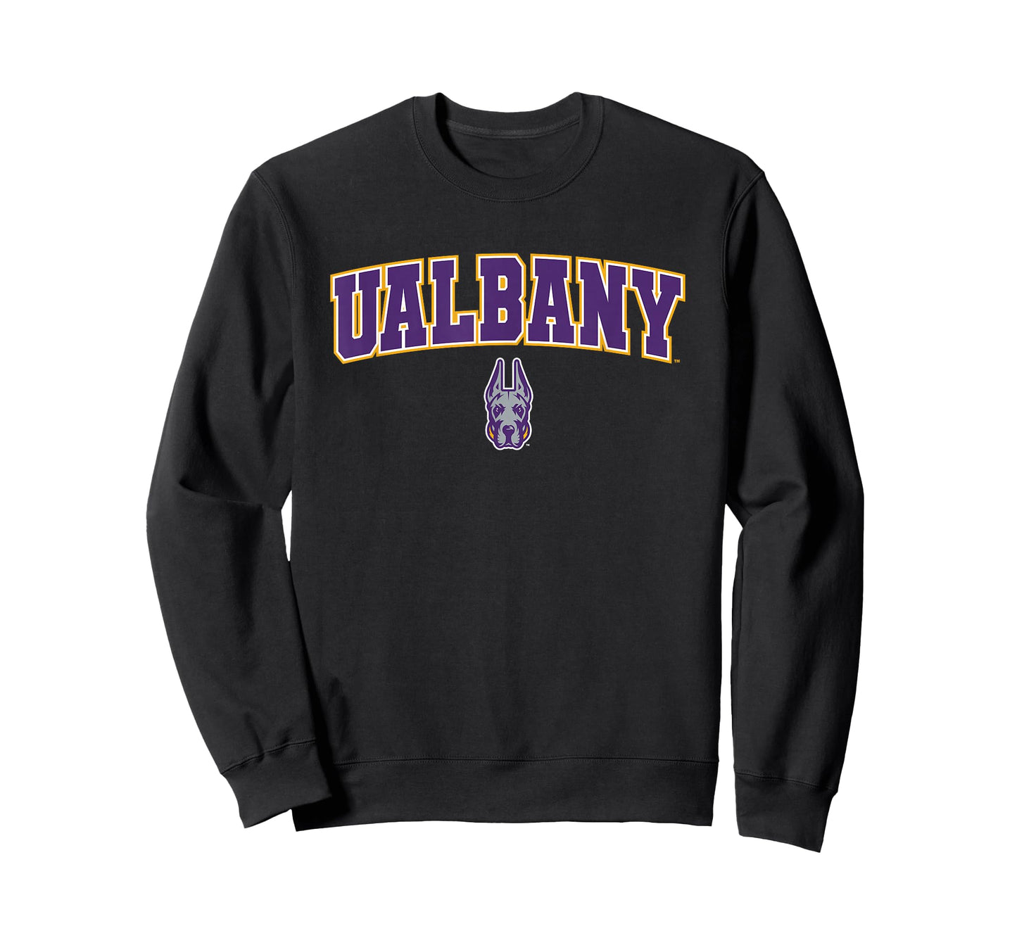 University at Albany Great Danes Arch Logo T-Shirt