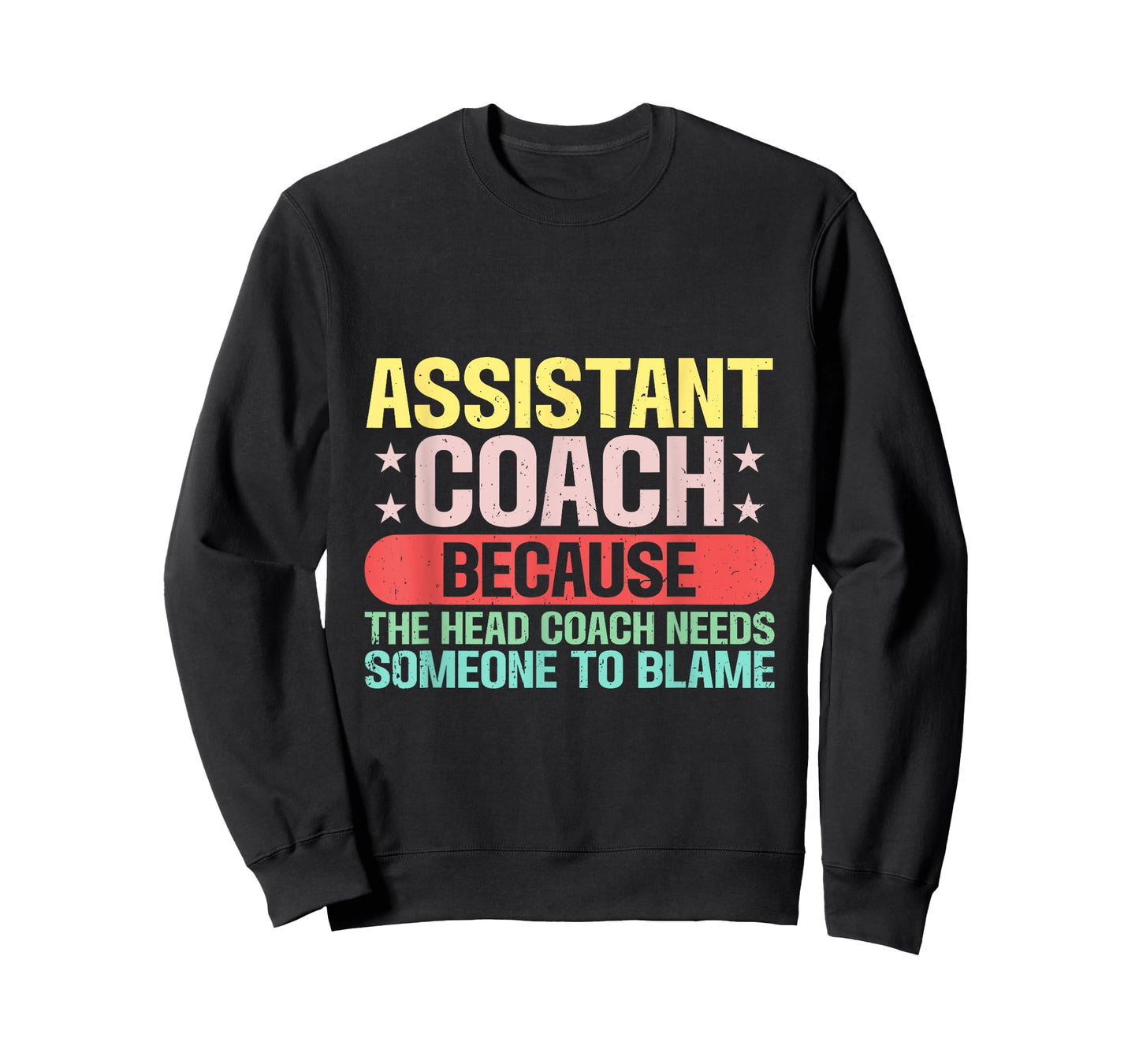 Assistant Coach The Head Coach Needs Someone To Blame T-Shirt