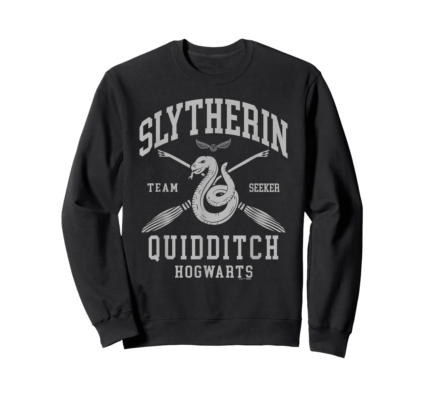 Harry Potter Slytherin Quidditch Arch T-Shirt
