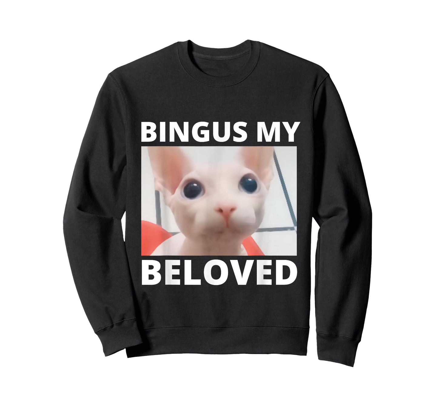 Funny Bingus My Beloved Hairless Sphinx Cat Bingus Cat Meme Men Women Girls Kids T-Shirt