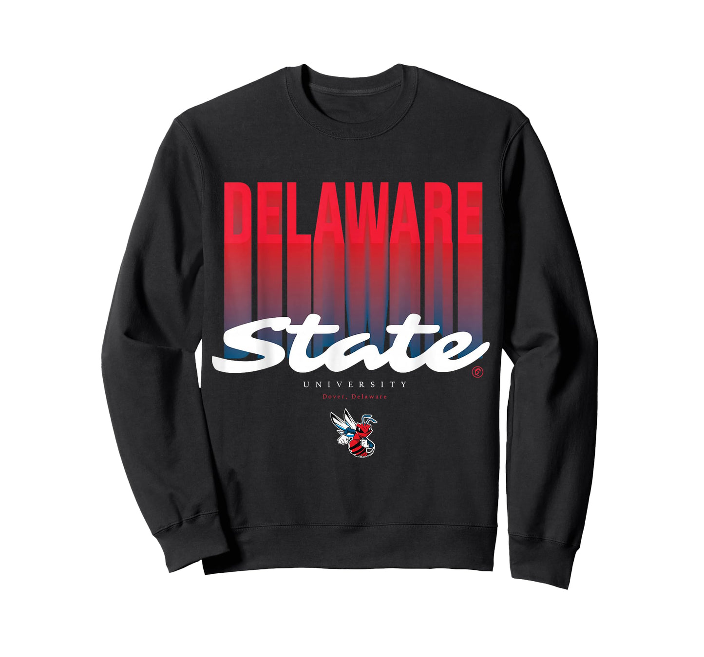 The Yard Essentials - Delaware State University - DSU Fade T-Shirt