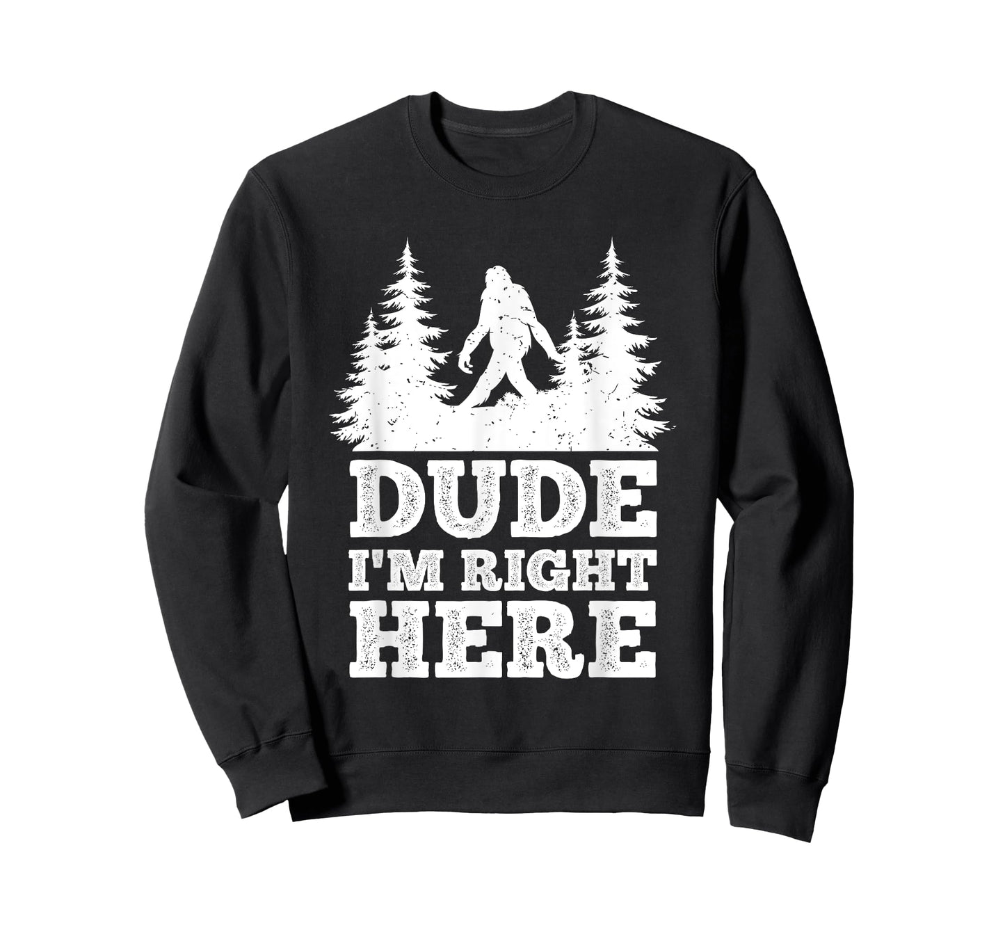 Dude I'm Right Here Bigfoot T Shirt Bigfoot Sasquatch Shirt T-Shirt