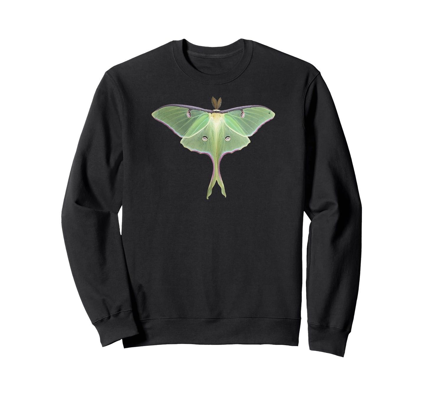 Luna Moth Beautiful Nature Butterfly Shirt Gift Lg Lt T-Shirt