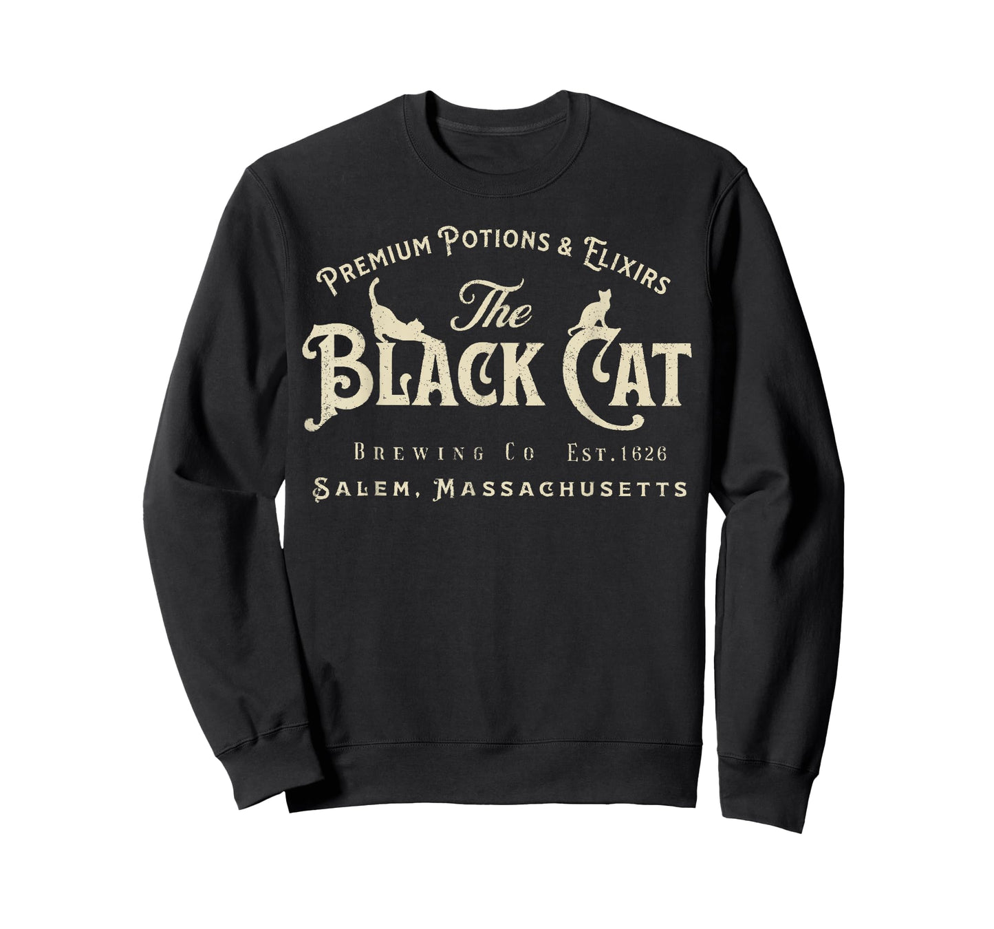 The Black Cat Witchy Salem Est 1626 Halloween Cat Lover Gift T-Shirt