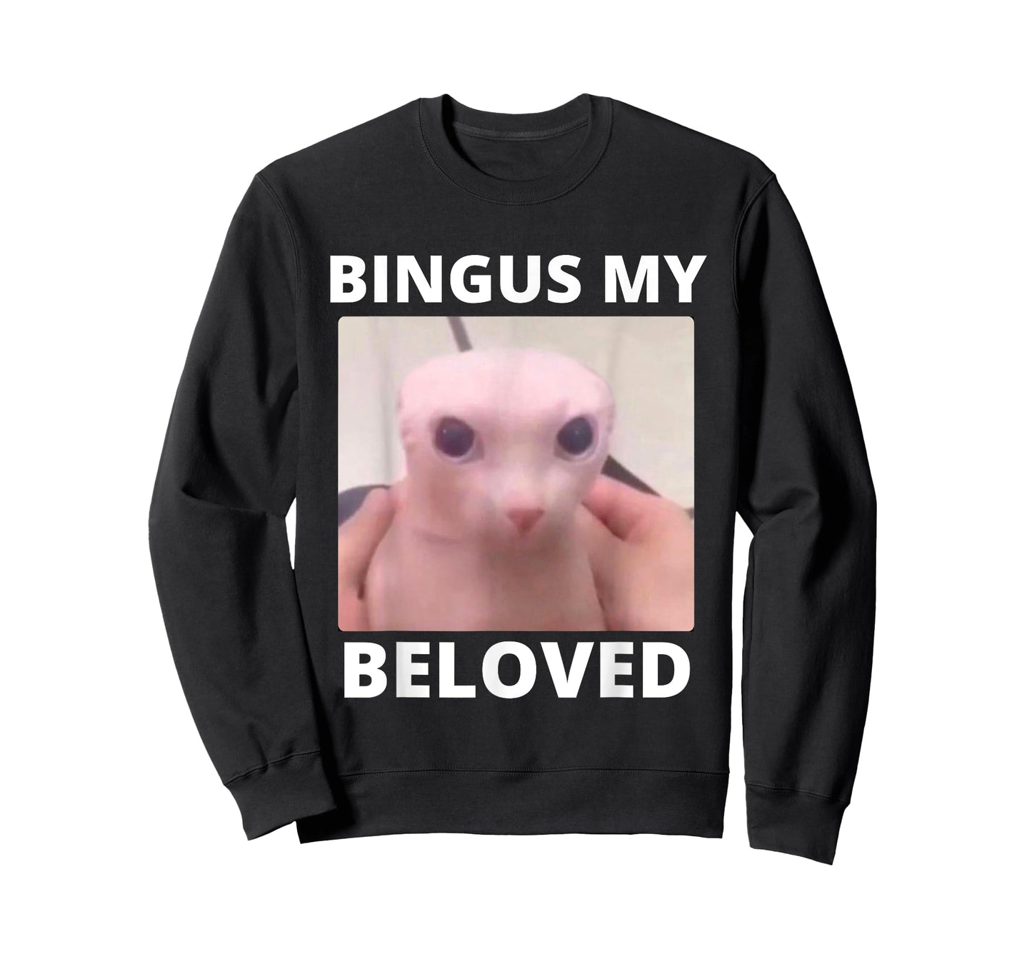 Bald Bingus My Beloved Hairless Sphinx Cat Bingus Cat Meme T-Shirt