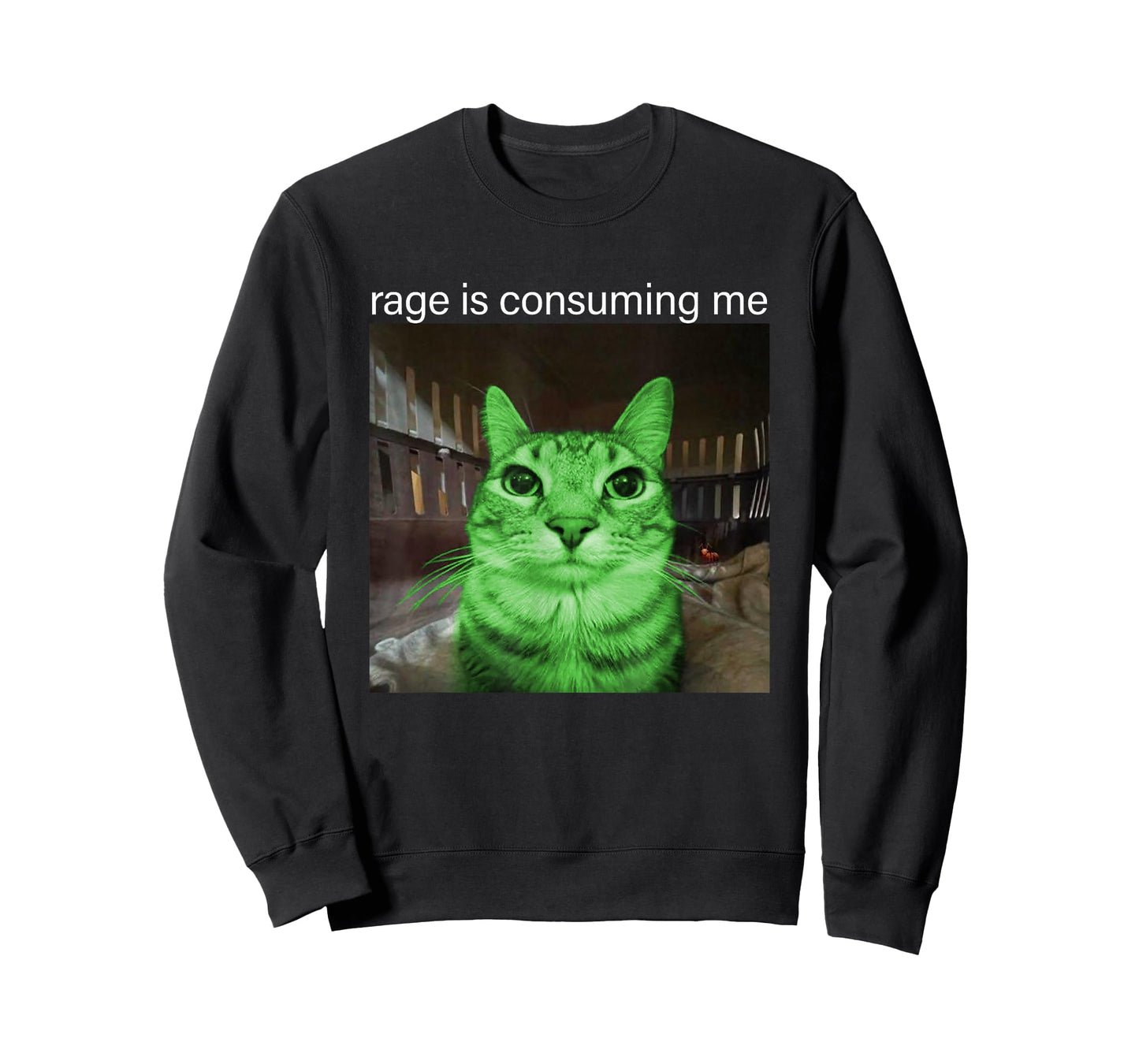 Rage is Consuming Me Silly Staring Alien Cat Meme T-Shirt