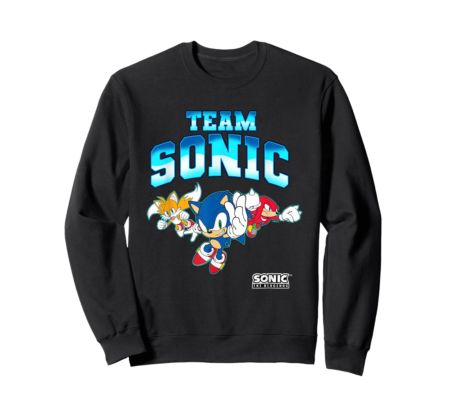 Sonic The Hedgehog Team Sonic Epic Group Shot T-Shirt