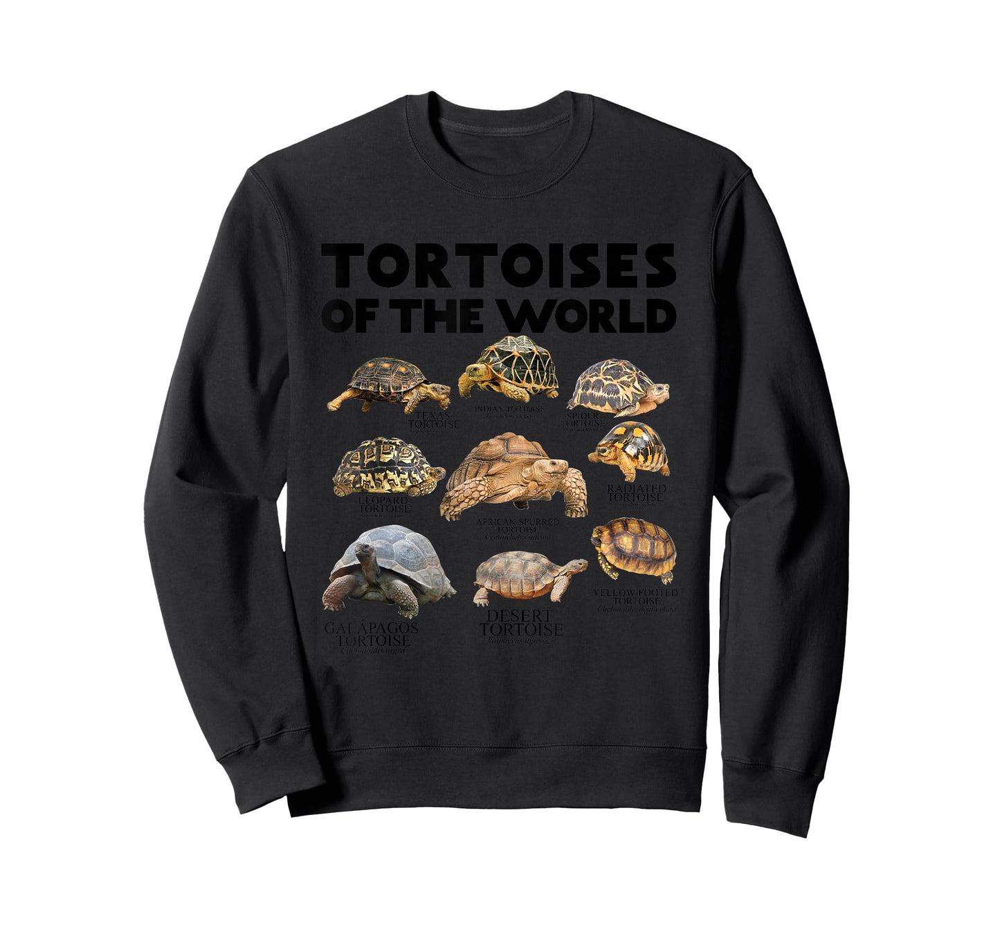 Tortoises of The World Turtles Lover Save The Tortoises T-Shirt