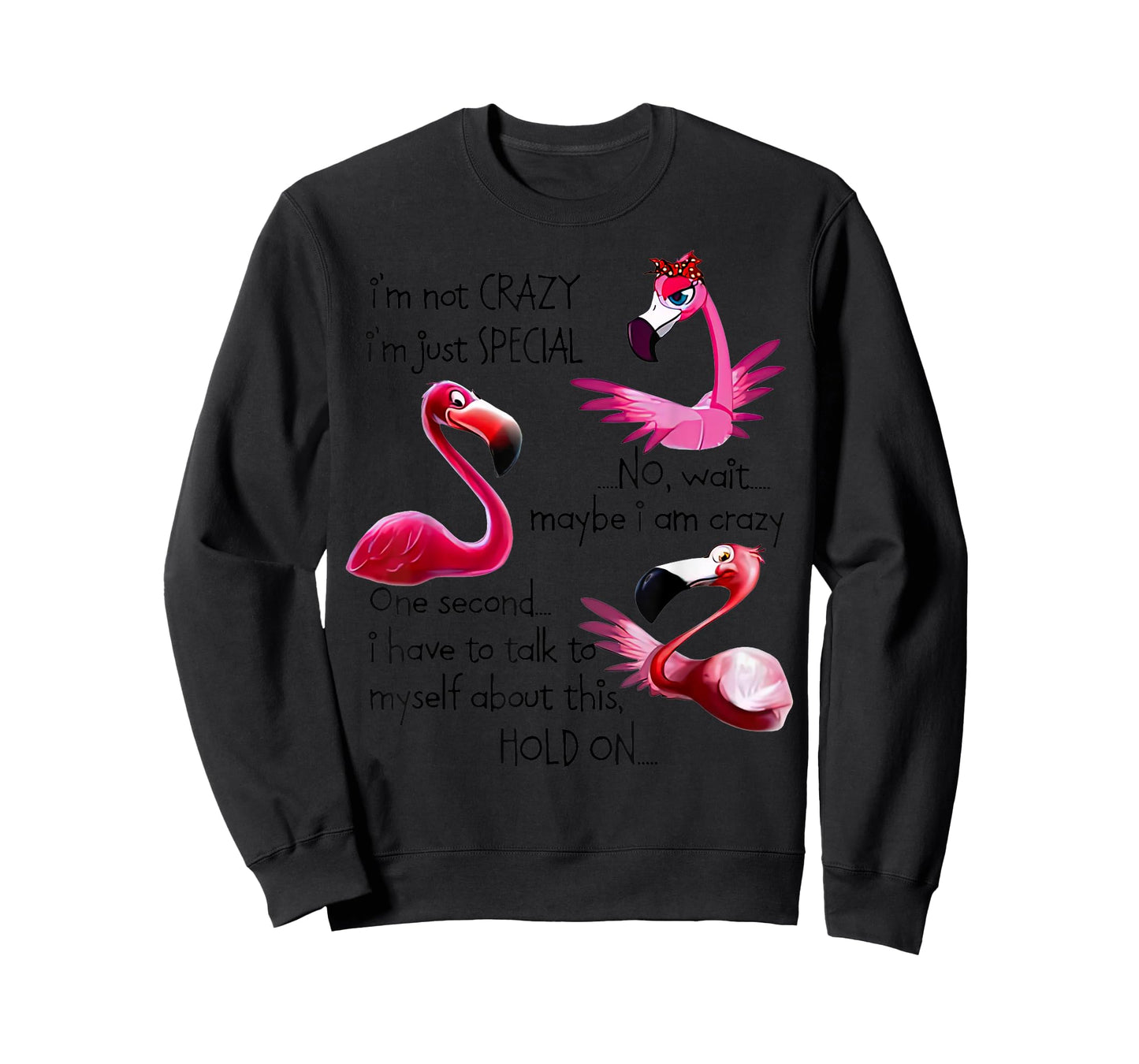 Flamingo I’m Not Crazy I’m Just Special No Wait Maybe T-Shirt