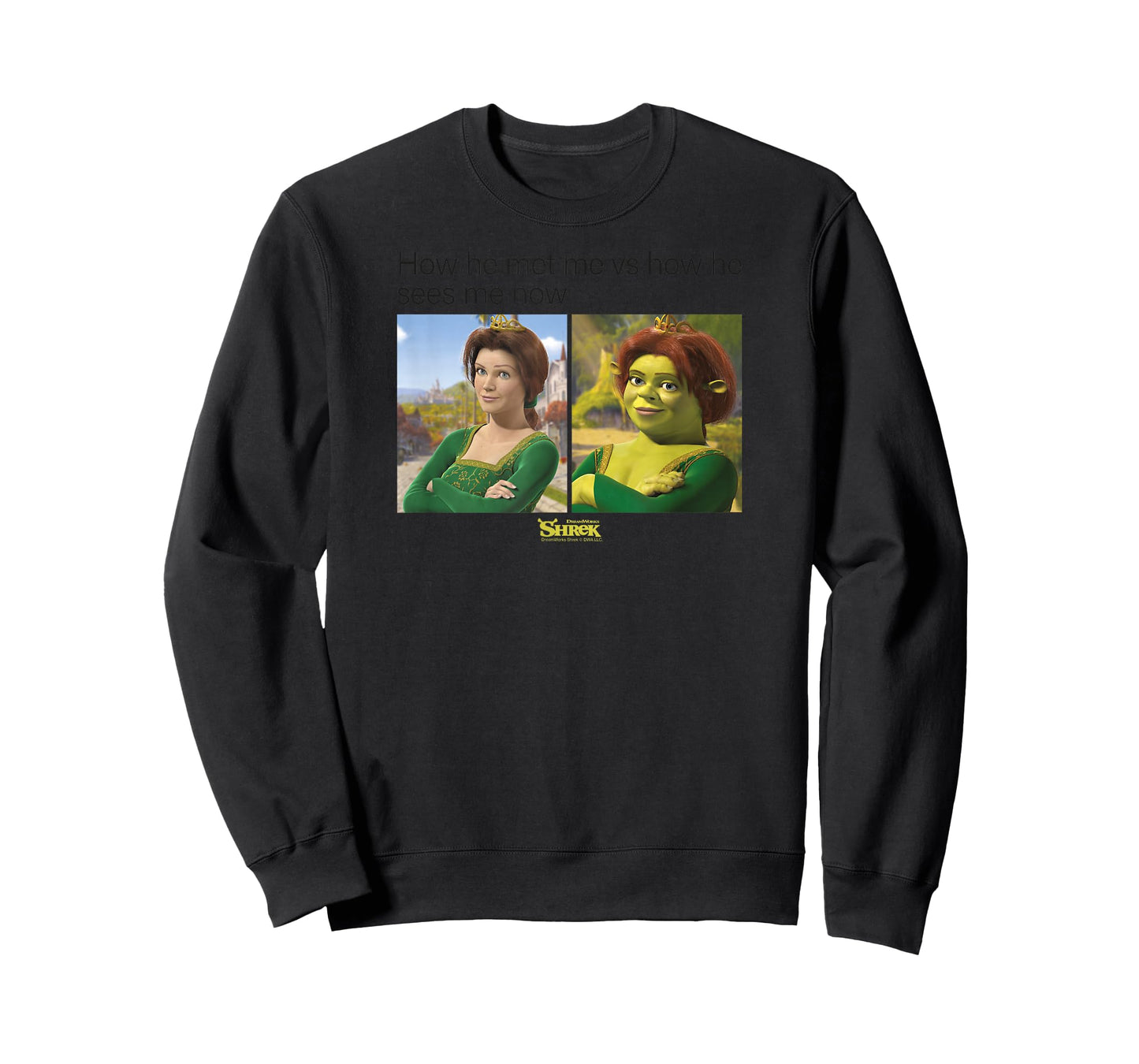 Shrek Princess Fiona Meme T-Shirt