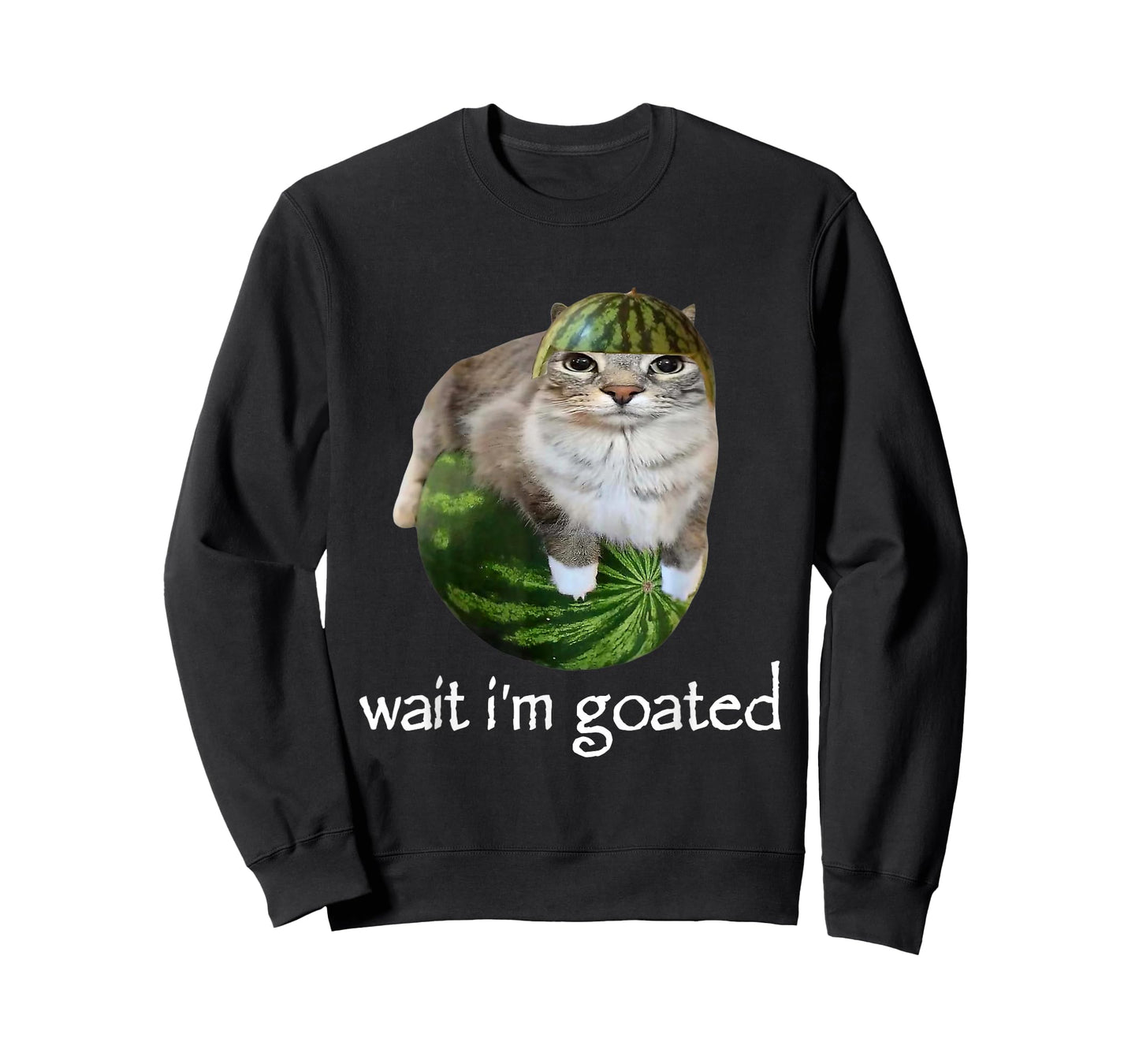 Wait I'm Goated Watermelon Cat Brainrot Silly Staring Cat T-Shirt