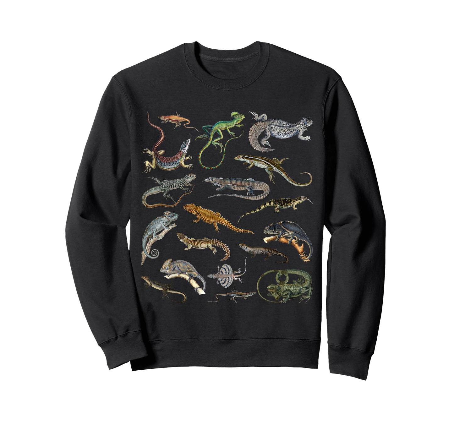 Lizards Collage Reptile Types Of Lizards Cool Lizards Lover T-Shirt
