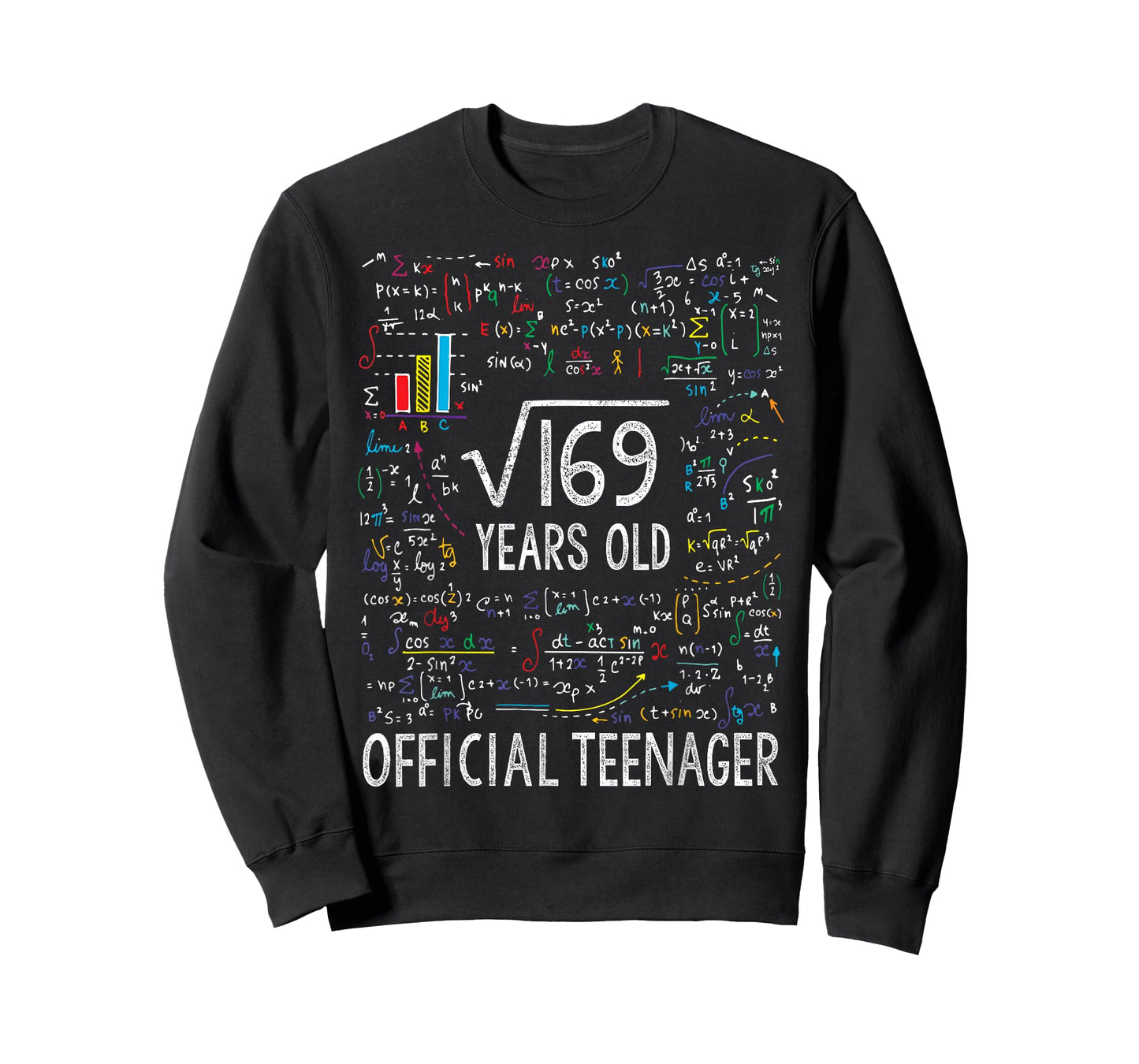 Square Root Of 169 13 Years Old Official Teenager Birthday T-Shirt