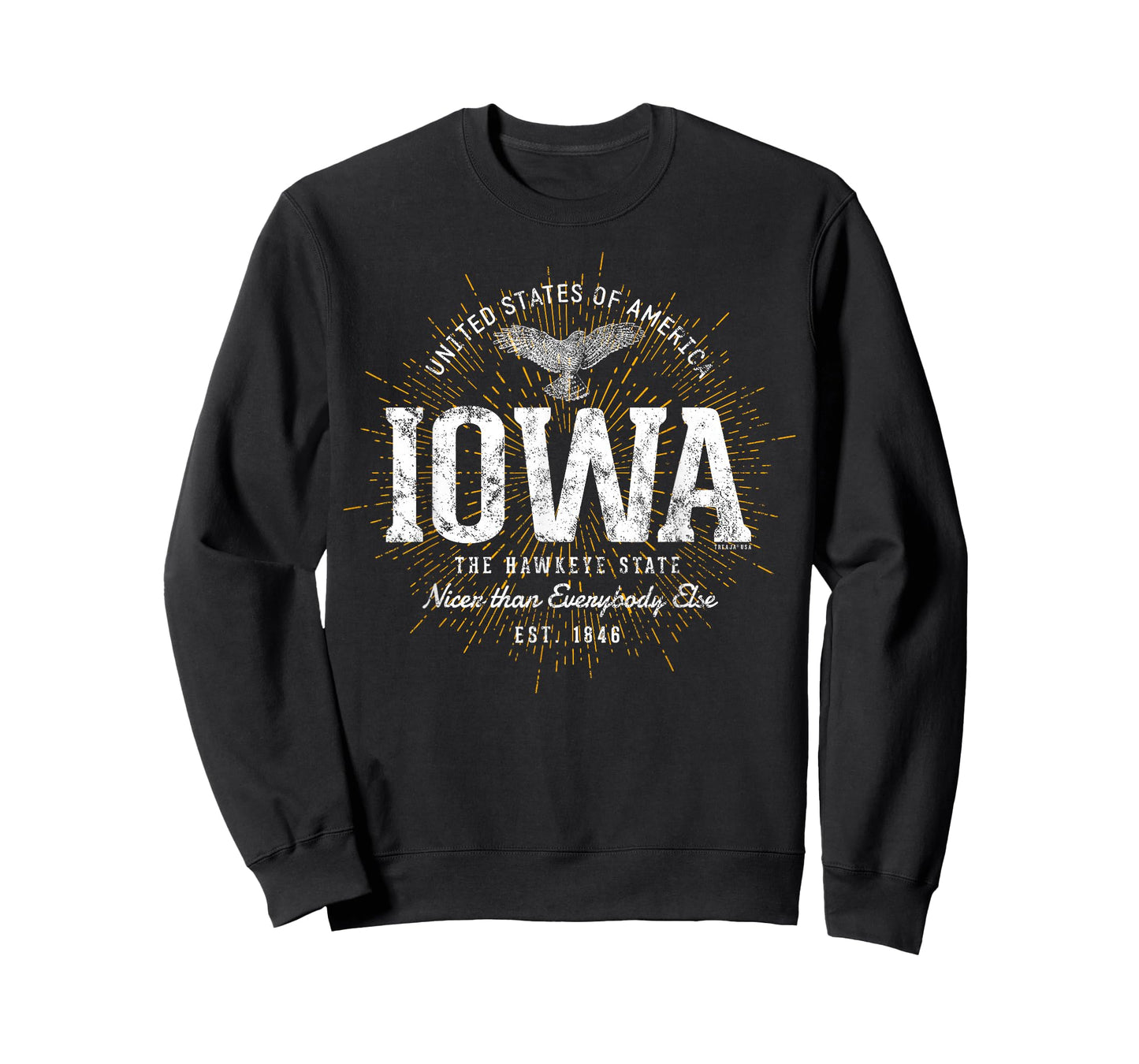 Vintage State of Iowa Retro T-Shirt