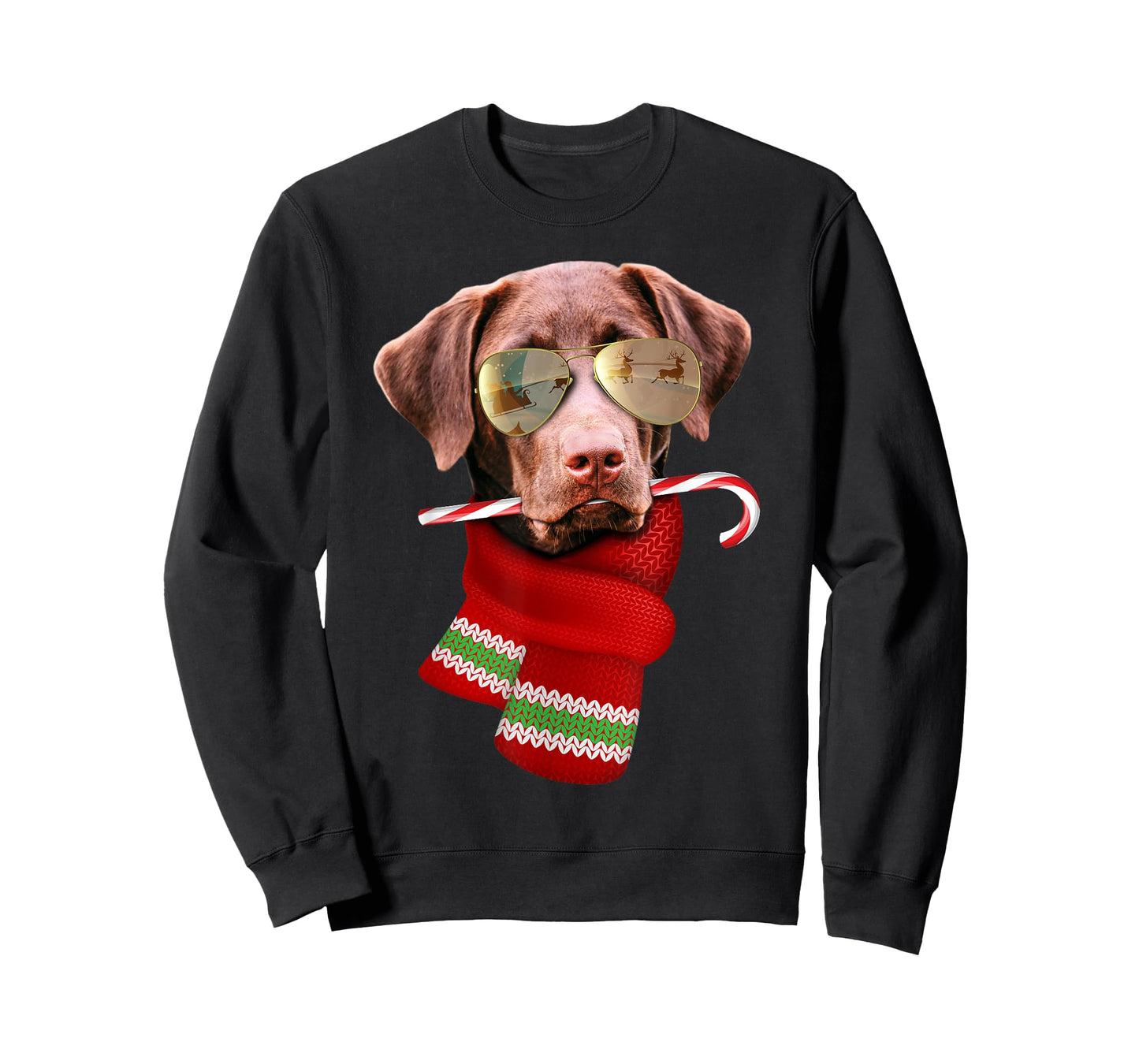 Chocolate Labrador Christmas Gift for Dog Lovers Sunglasses Men Women Kids T-Shirt