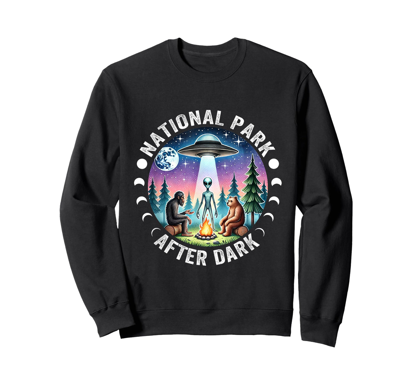 Vintage Retro Funny National Park After the Dark Big foot Alien Campfire T-Shirt, Small, Black