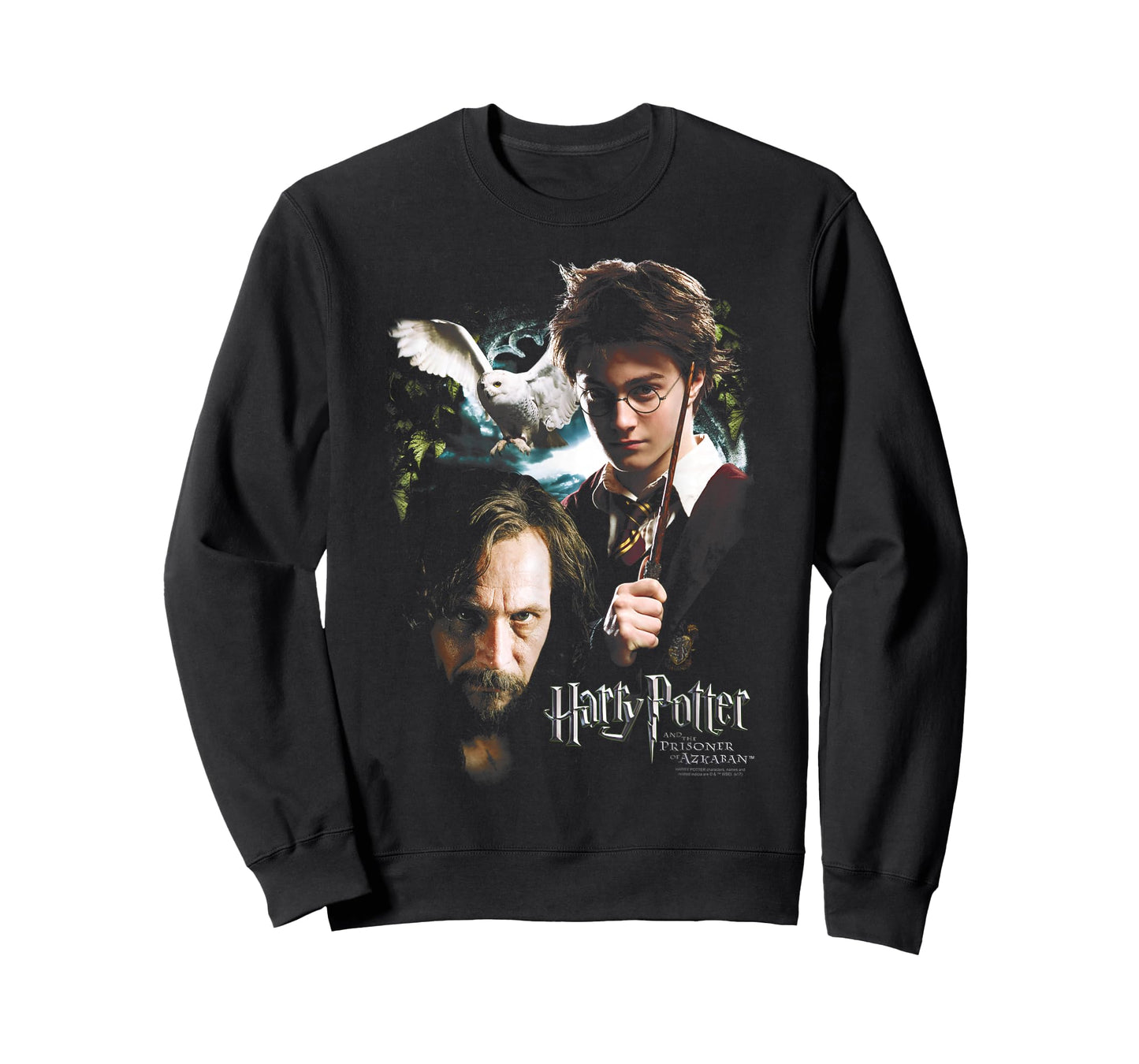 Harry Potter and Sirius T-Shirt