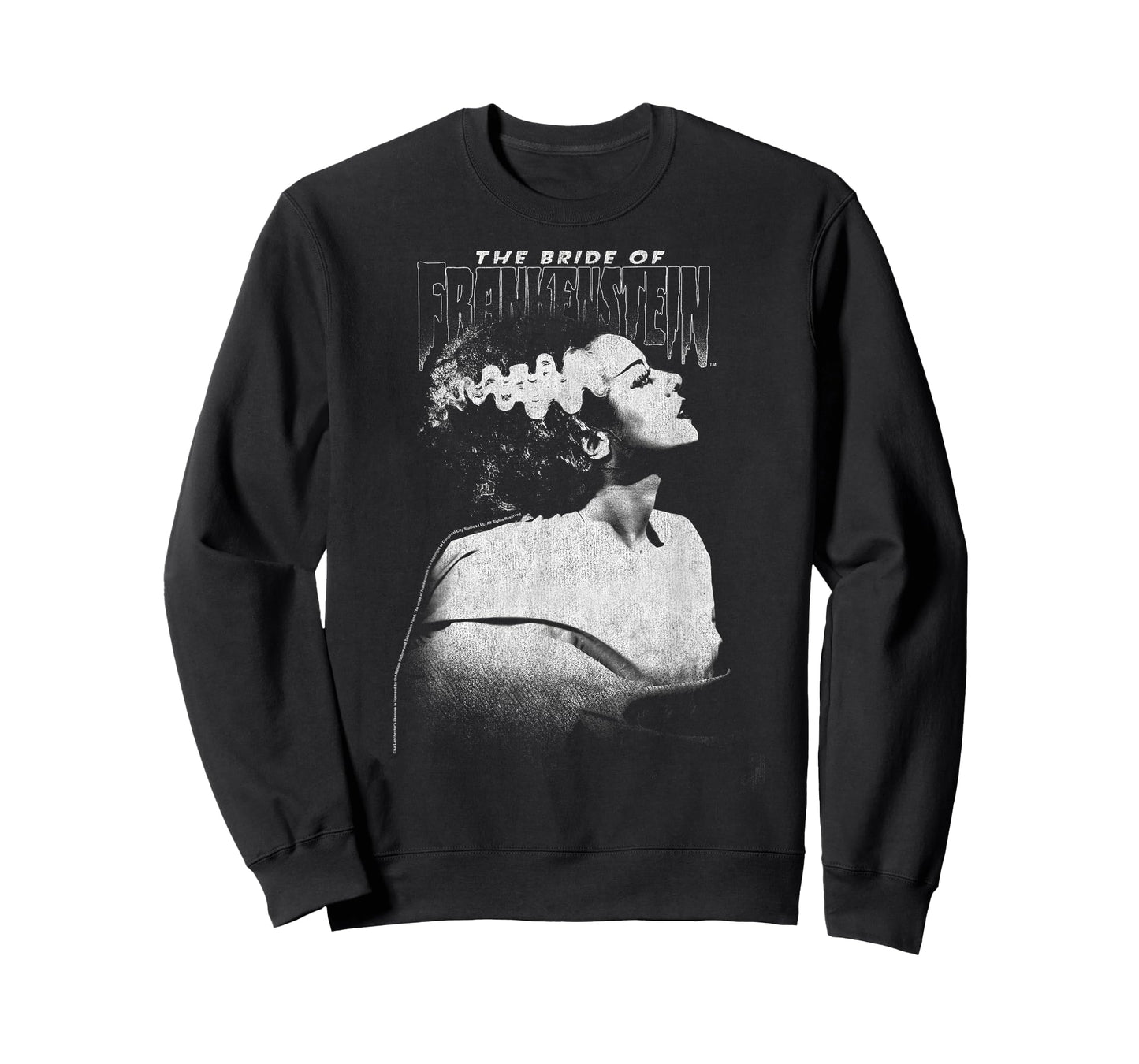 Universal Monsters Bride of Frankenstein Dark Portrait T-Shirt Small