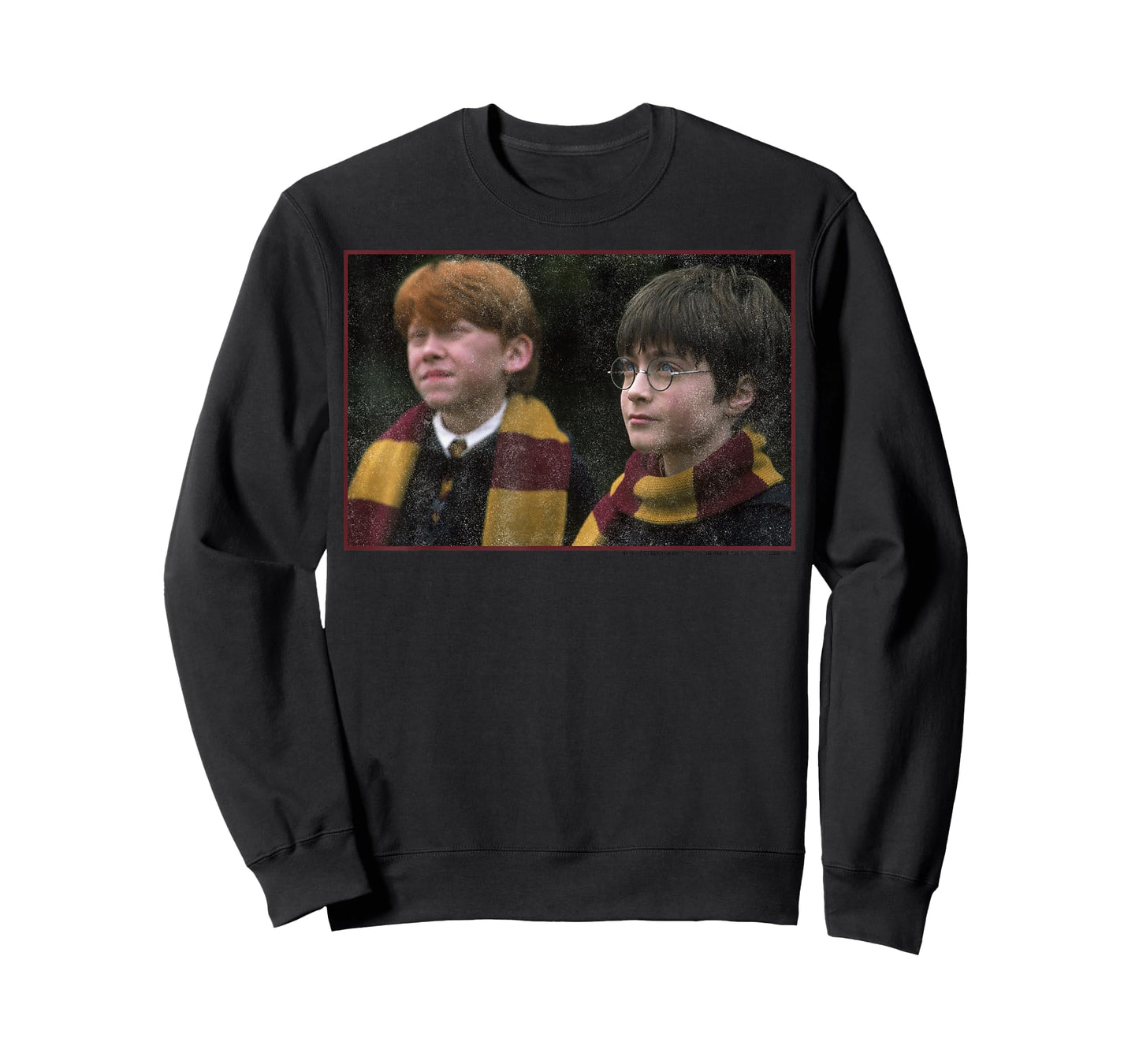Harry Potter & Ron Weasley Poster T-Shirt