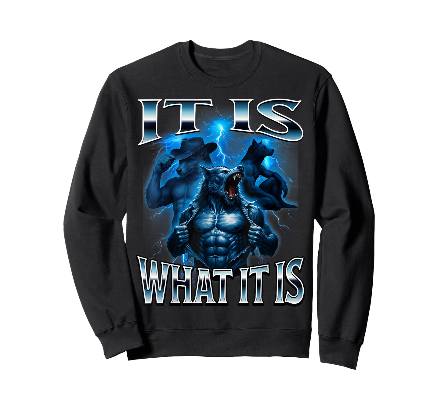 It is What Alpha Wolf Meme Sayings Beta Unhinged Brainrot T-Shirt