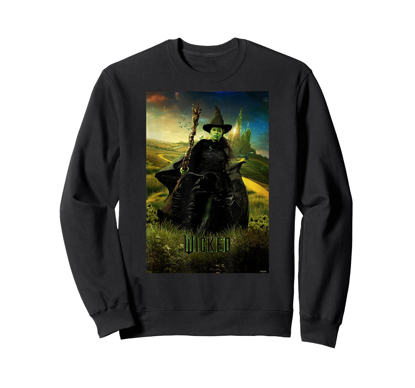 Wicked Unisex-Adults & Kids T-Shirt, Black, Small, Short Sleeve, Classic Fit, Iconic Hero Design, Licensed Movie Theme