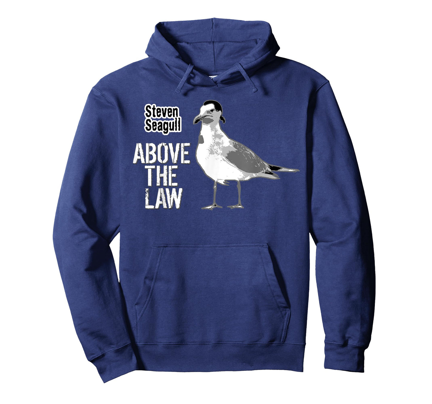 Steven Seagull