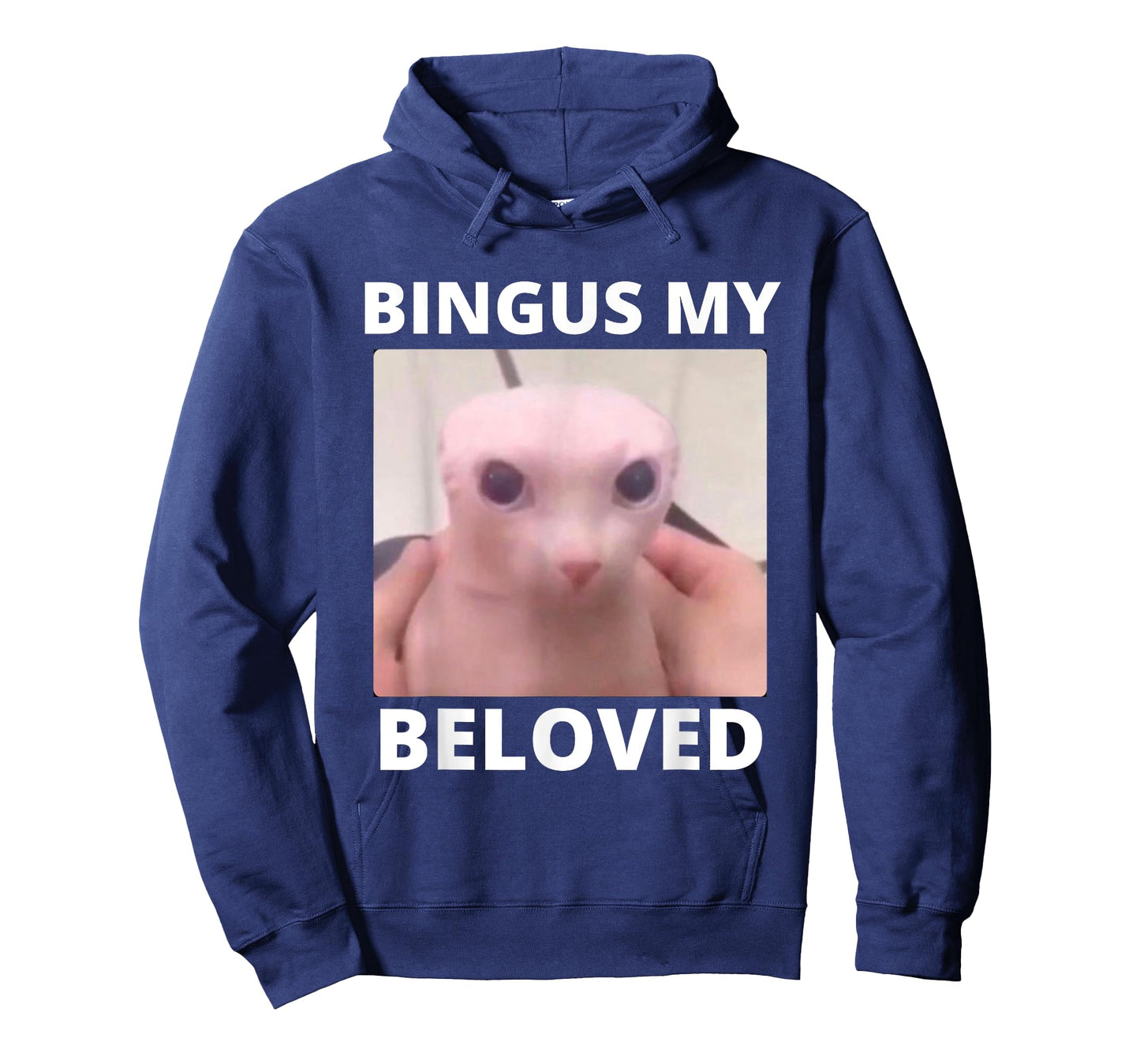 Bald Bingus My Beloved Hairless Sphinx Cat Bingus Cat Meme T-Shirt