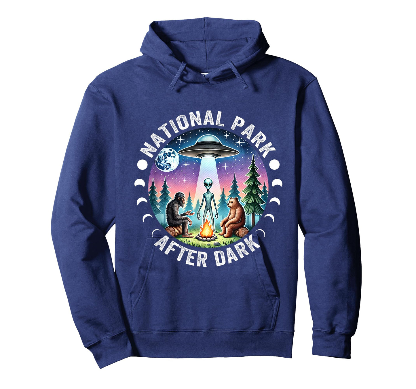 Vintage Retro Funny National Park After the Dark Big foot Alien Campfire T-Shirt, Small, Black