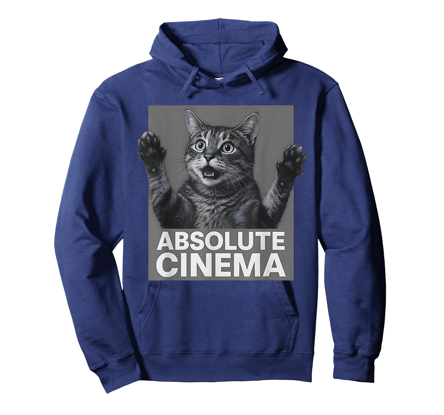 Absolute Cinema Meme Cat Funny T-Shirt