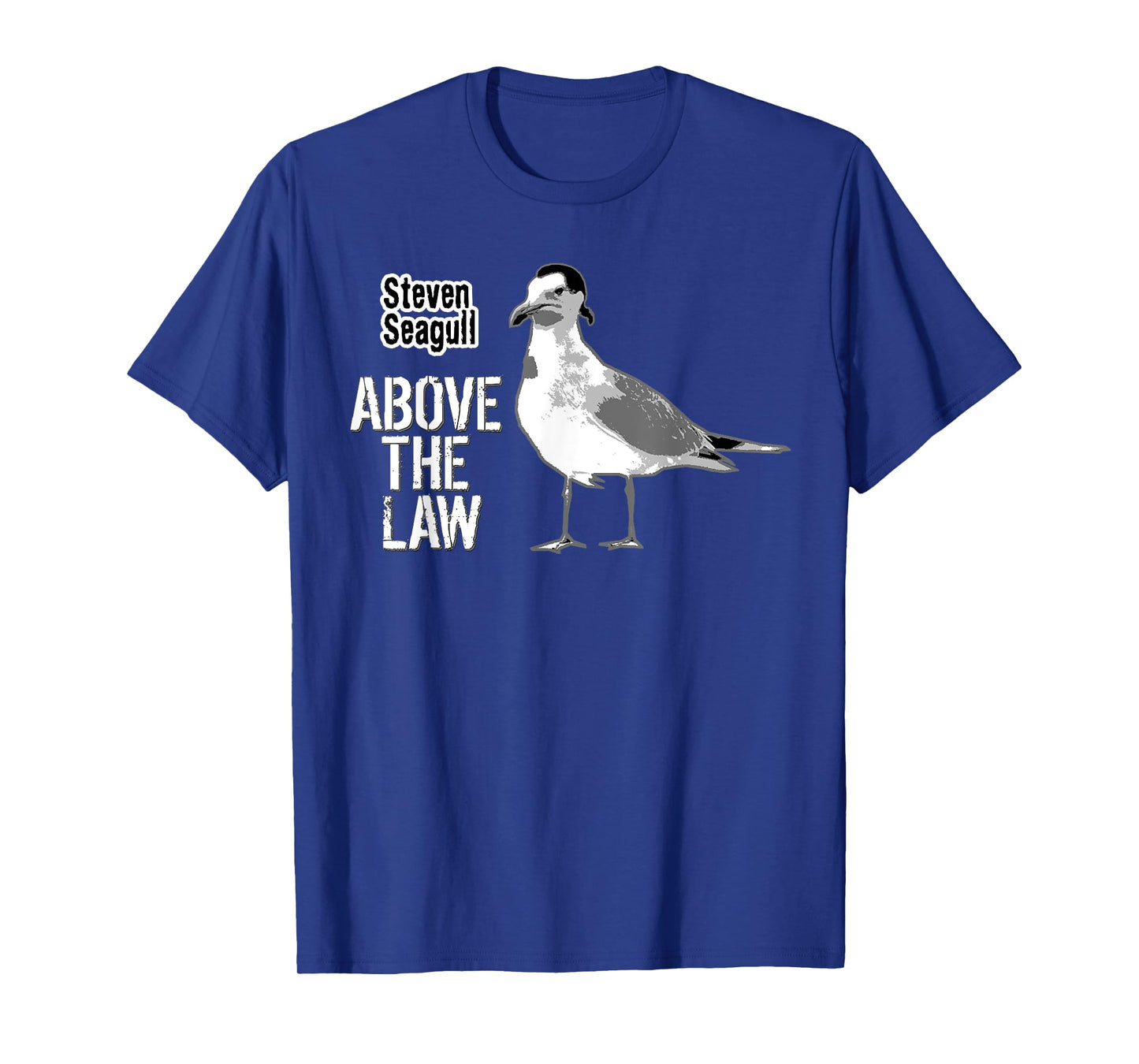 Steven Seagull