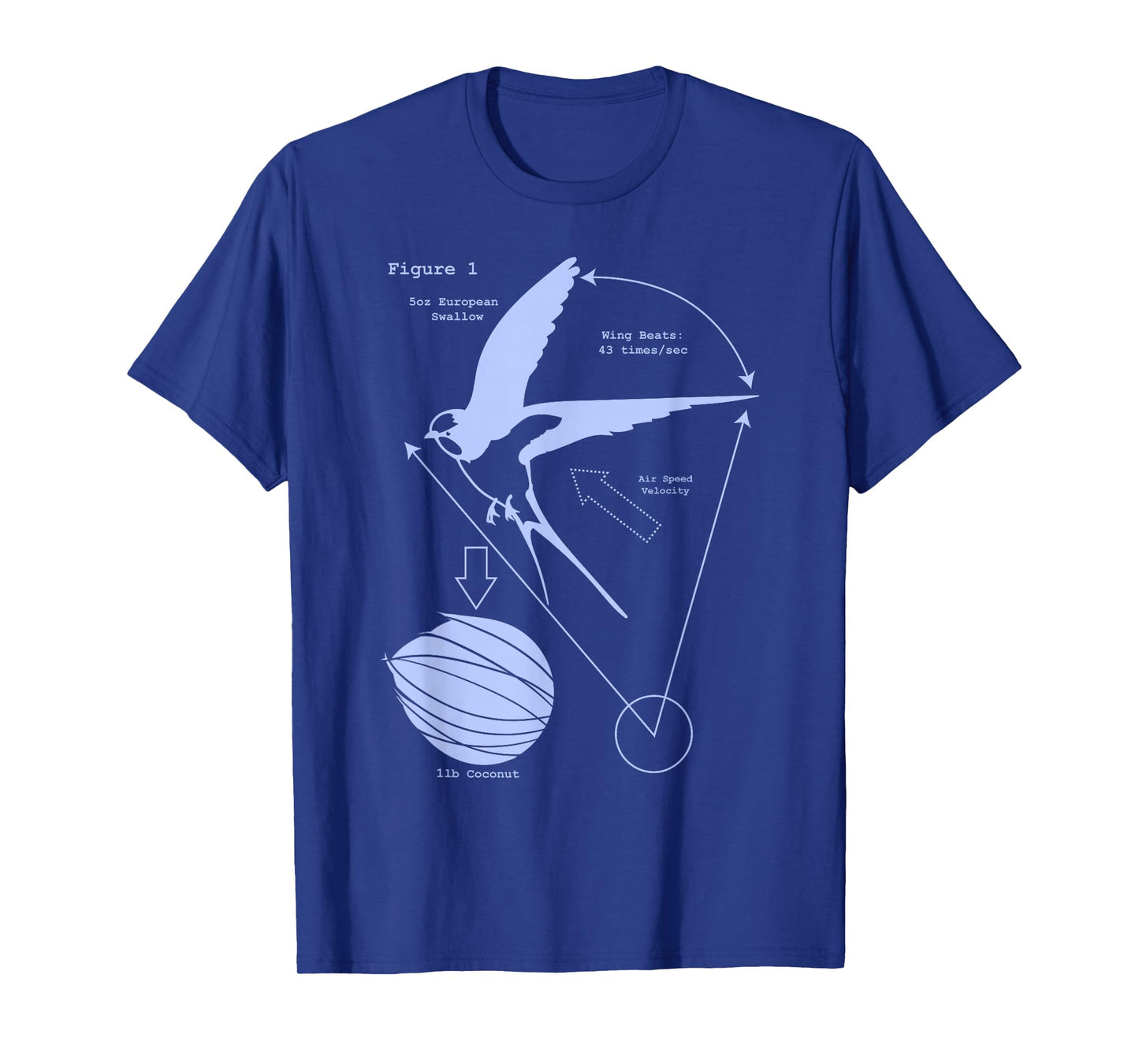 Airspeed Velocity with a Coconut and a European Swallow T-Shirt