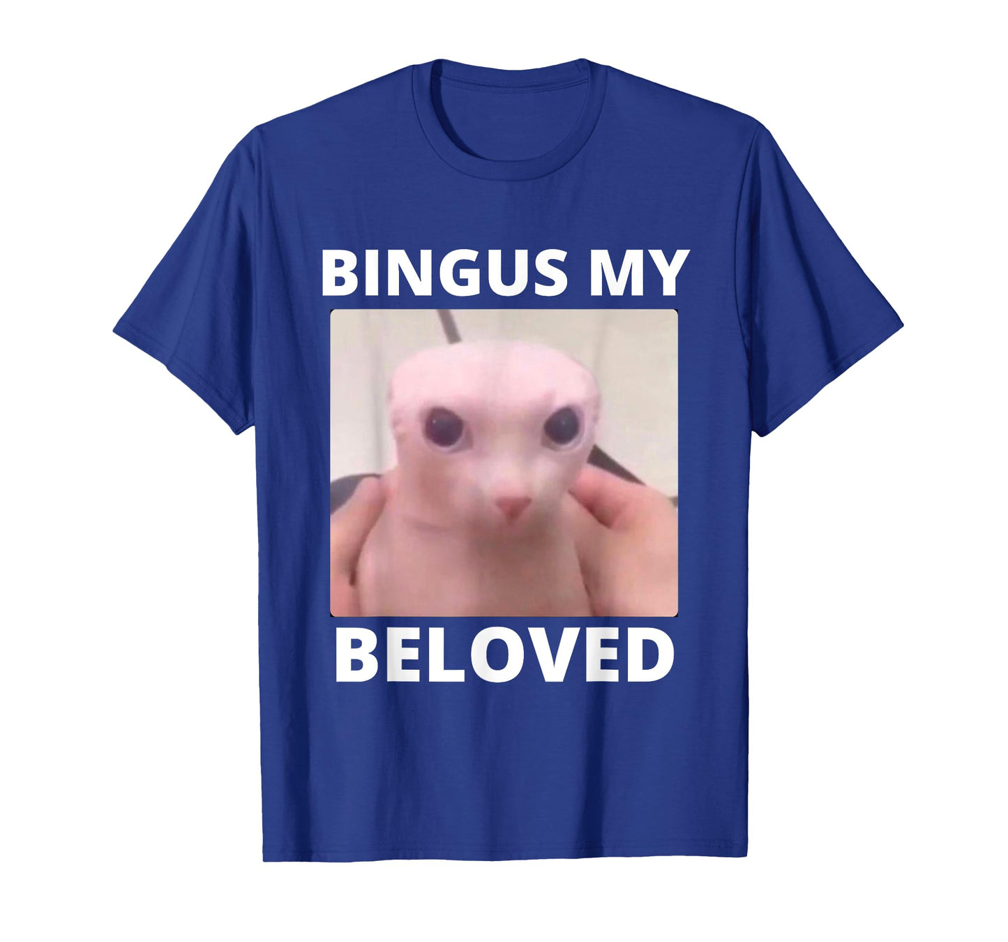Bald Bingus My Beloved Hairless Sphinx Cat Bingus Cat Meme T-Shirt