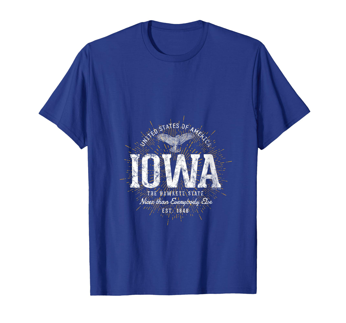 Womens Vintage State of Iowa Retro V-Neck T-Shirt