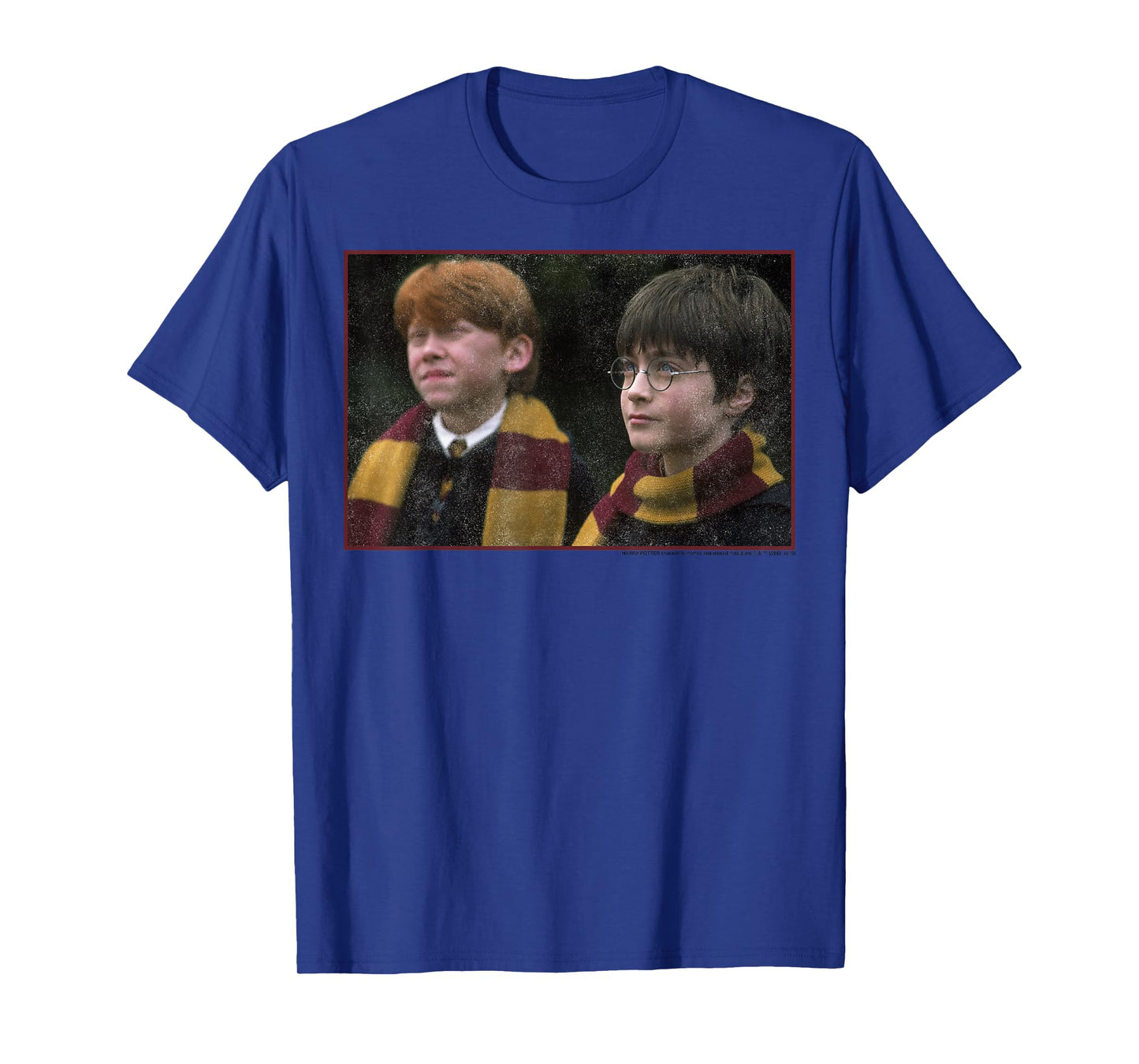 Harry Potter & Ron Weasley Poster T-Shirt